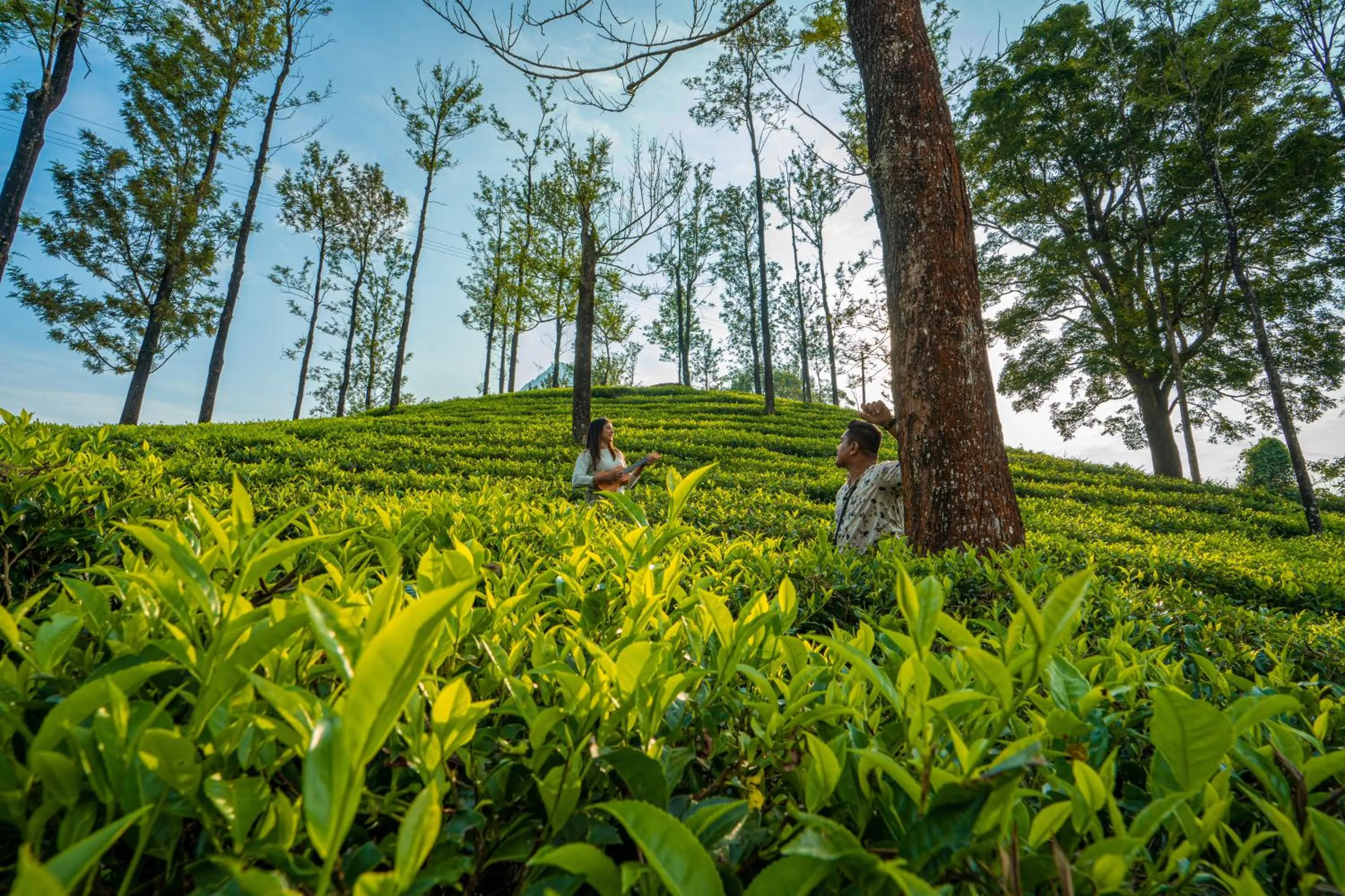 People in Zostel Plus Wayanad