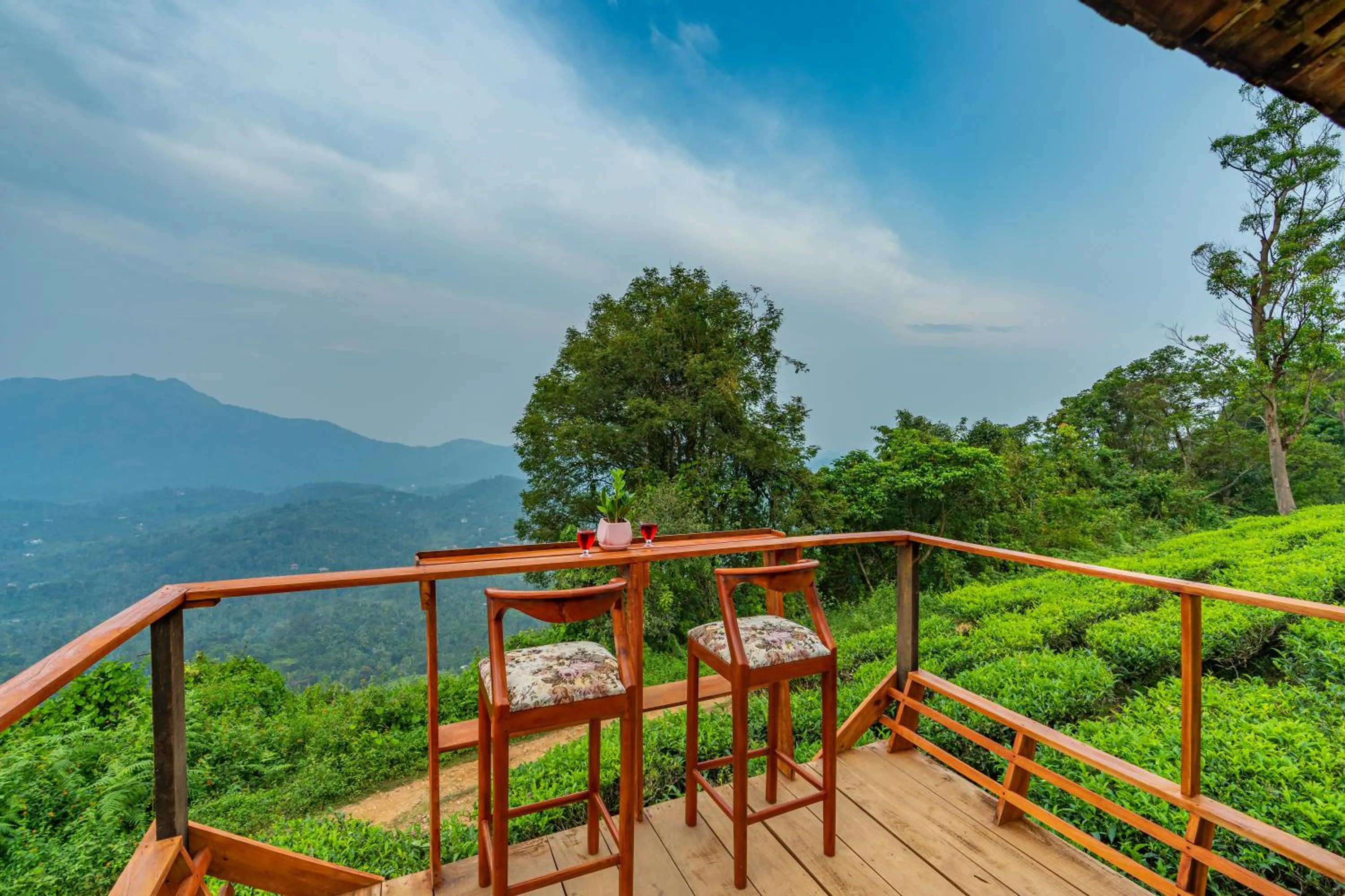 Natural landscape in Zostel Plus Wayanad