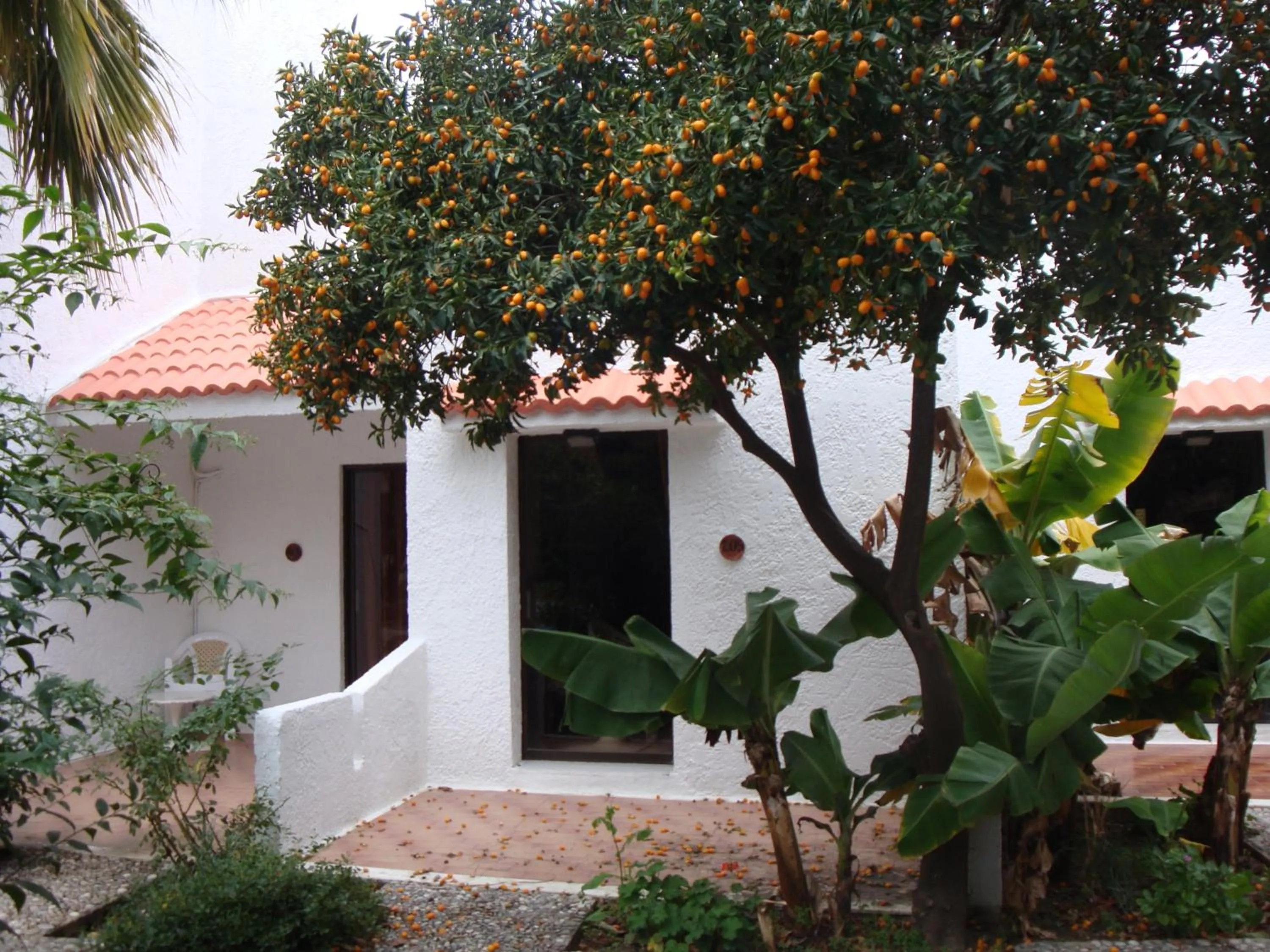 Property building in Oasis Hotel Bungalows Rhodes- All Inclusive