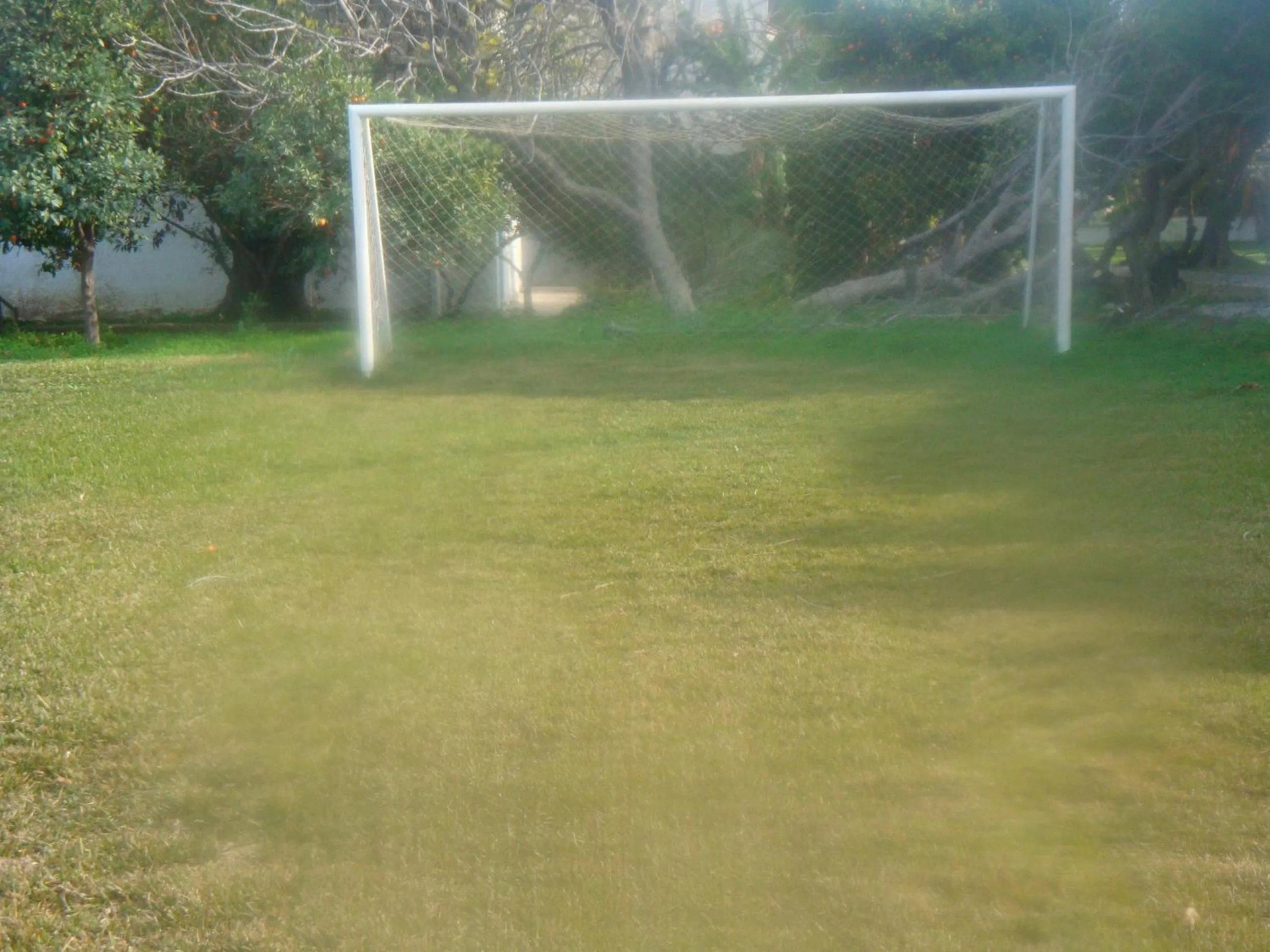 Sports in Oasis Hotel Bungalows Rhodes- All Inclusive