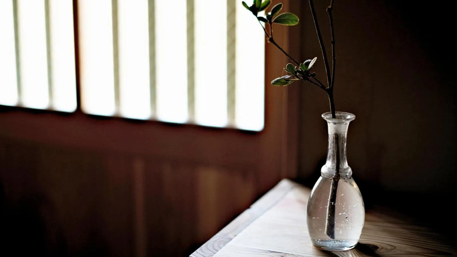 Lobby or reception in Kokonoe Machiya