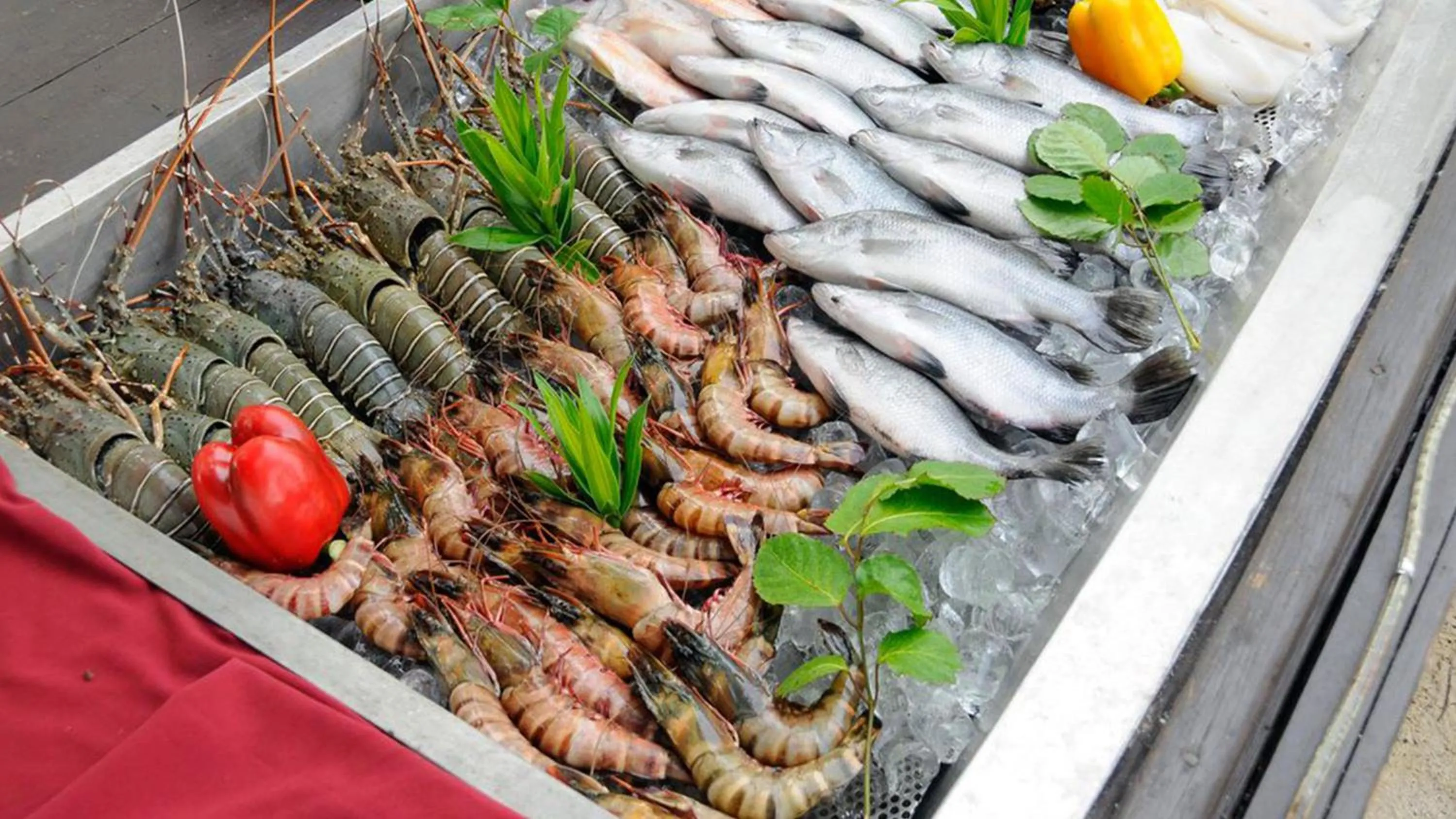 Restaurant/places to eat in Phi Phi Holiday Resort