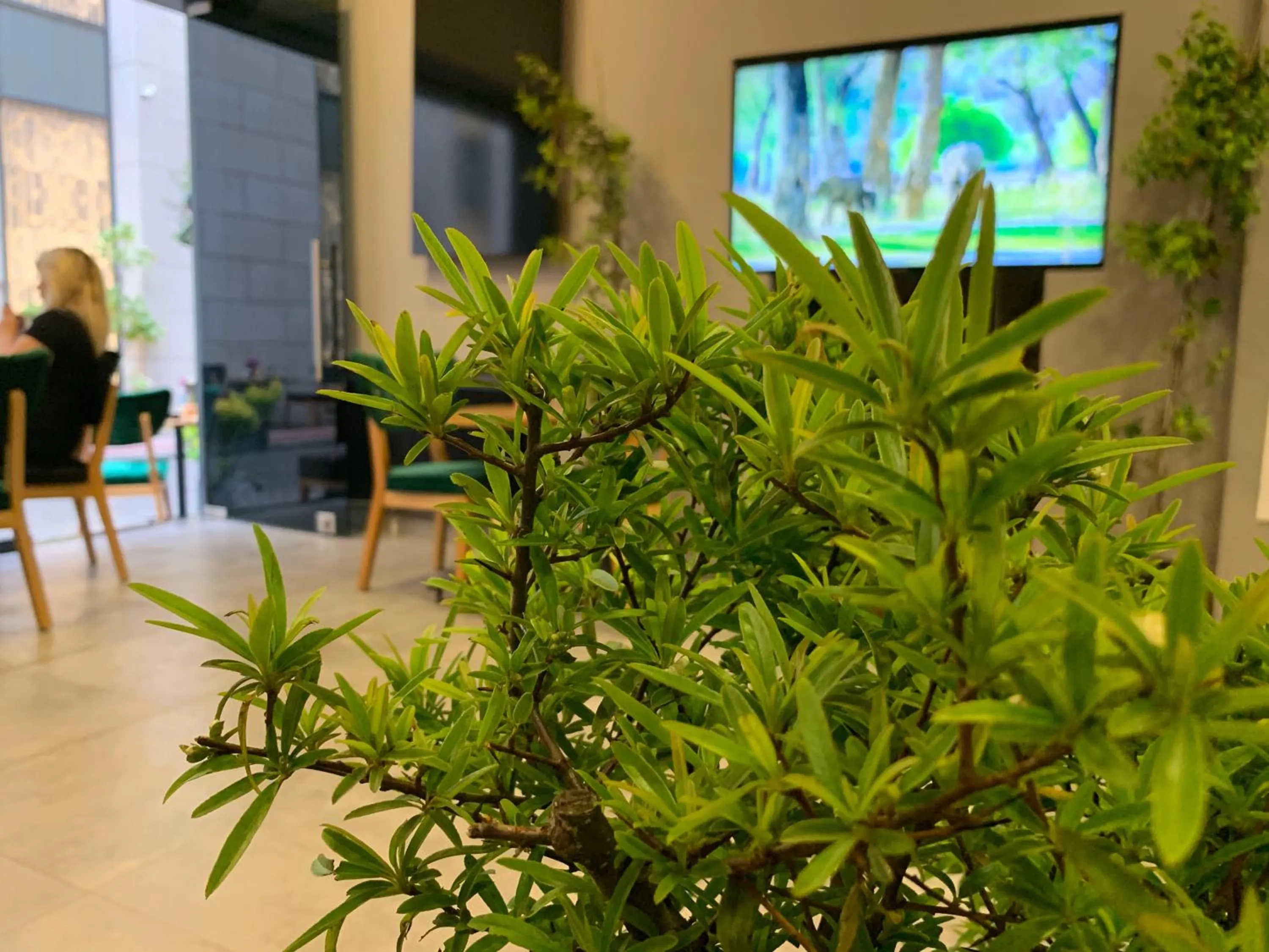 Lobby or reception in taksim diamond hotel