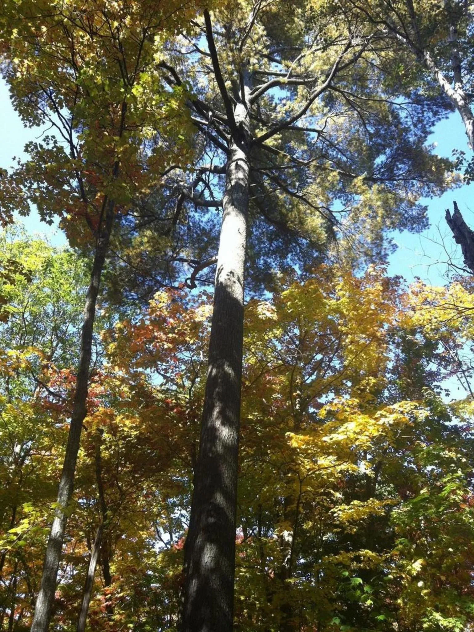 Hiking in Glenview Cottages