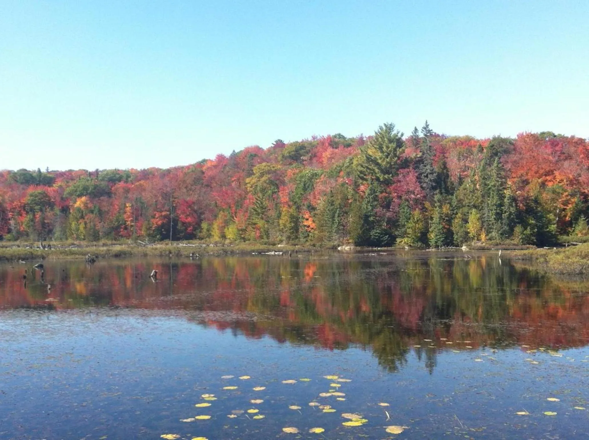 Lake view in Glenview Cottages