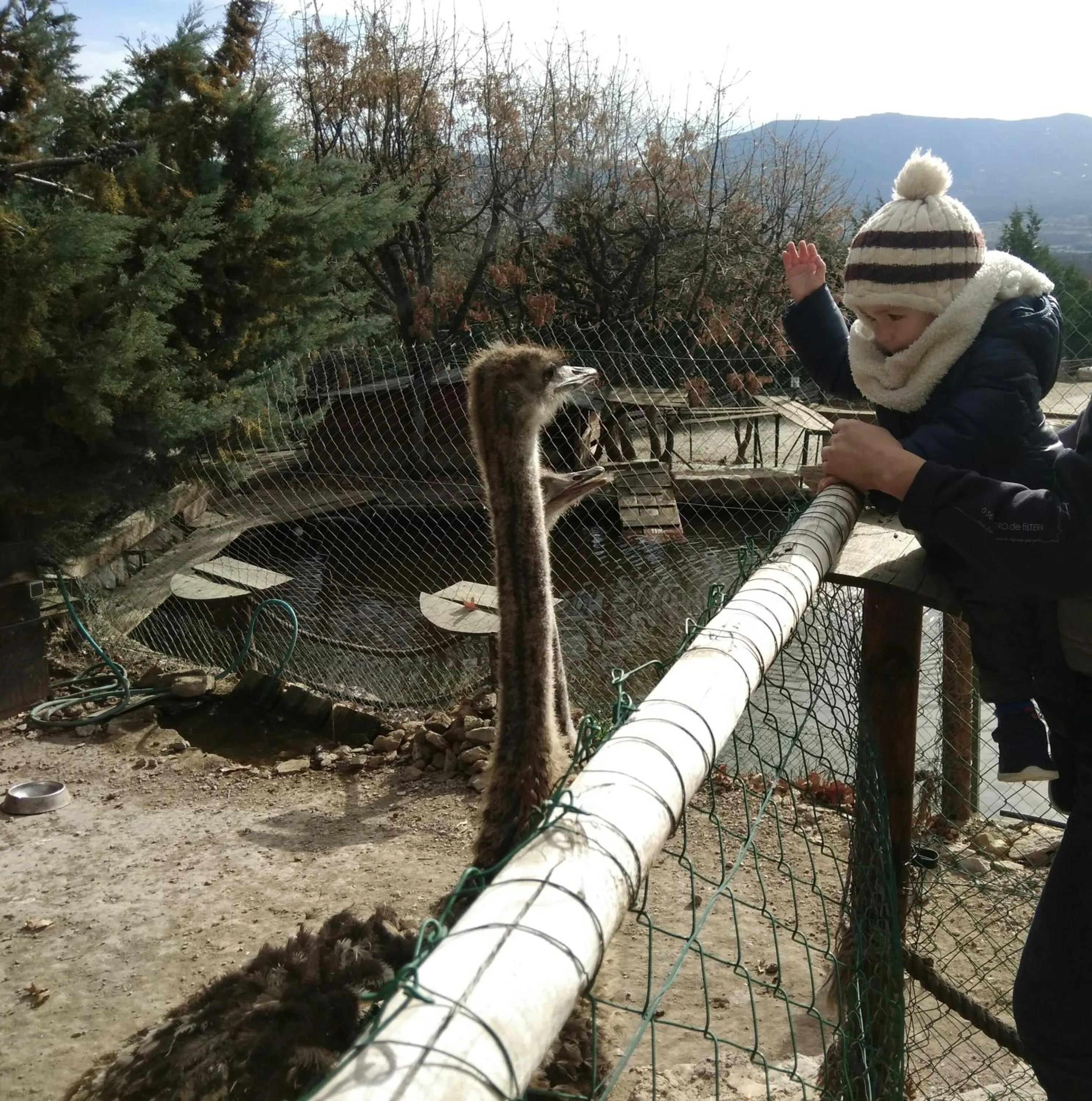 Activities in Posada Rural SPA Granja LA TEJERA de Lozoya