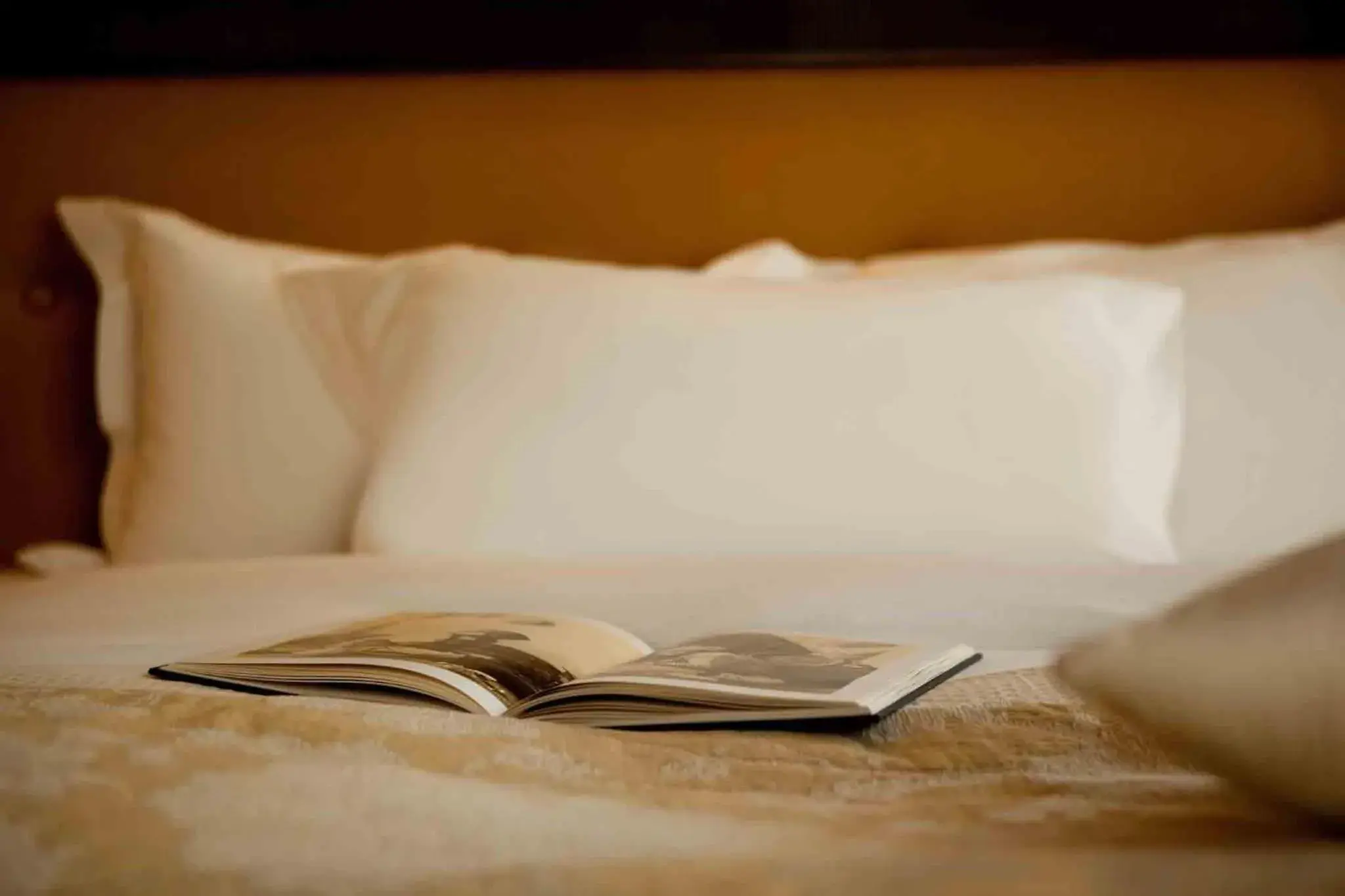 Bedroom, Bed in Royal Hotel Oran - MGallery Collection Bedroom, Bed in Royal Hotel Oran - MGallery Collection