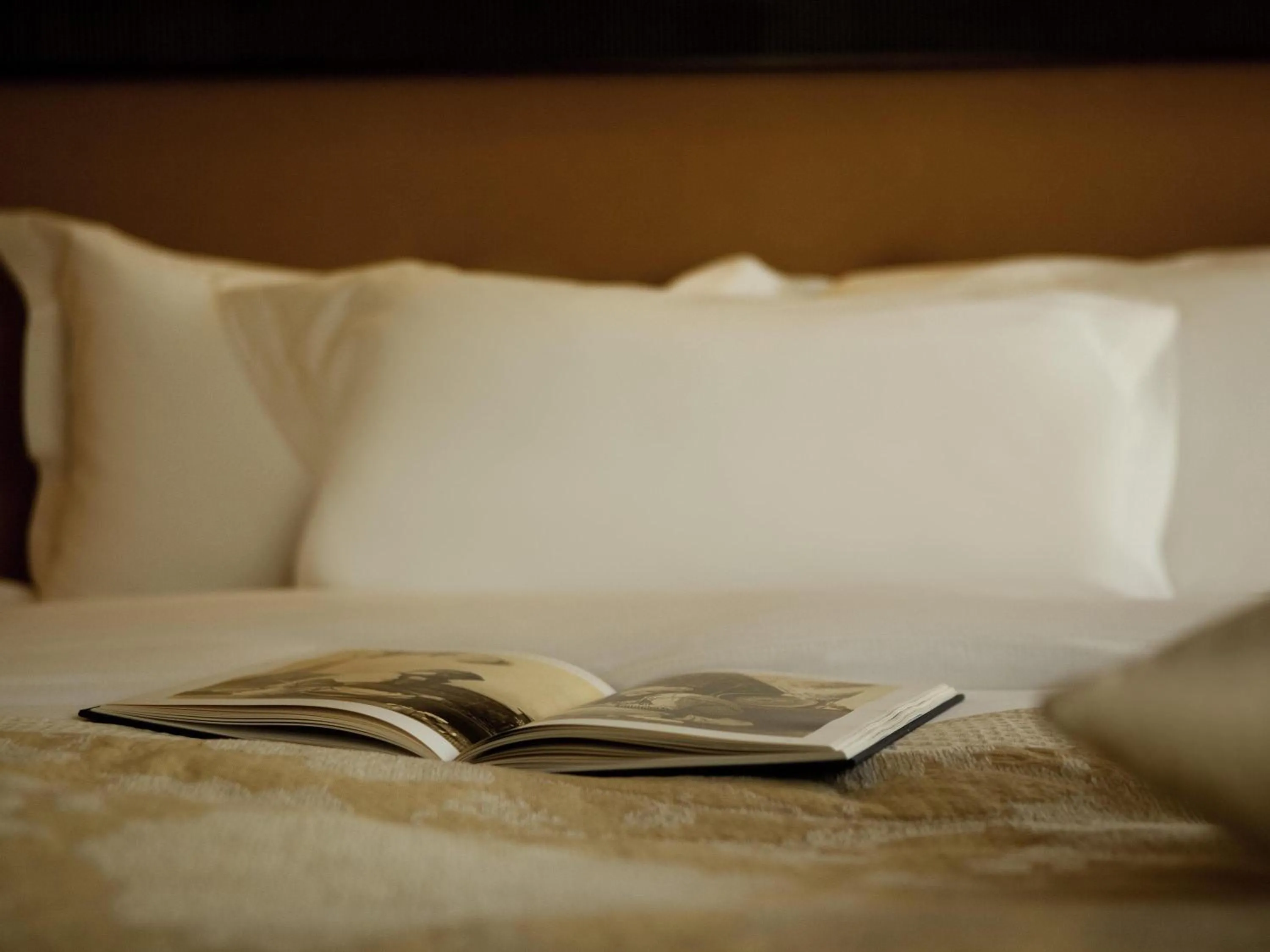 Bedroom in Royal Hotel Oran - MGallery Collection