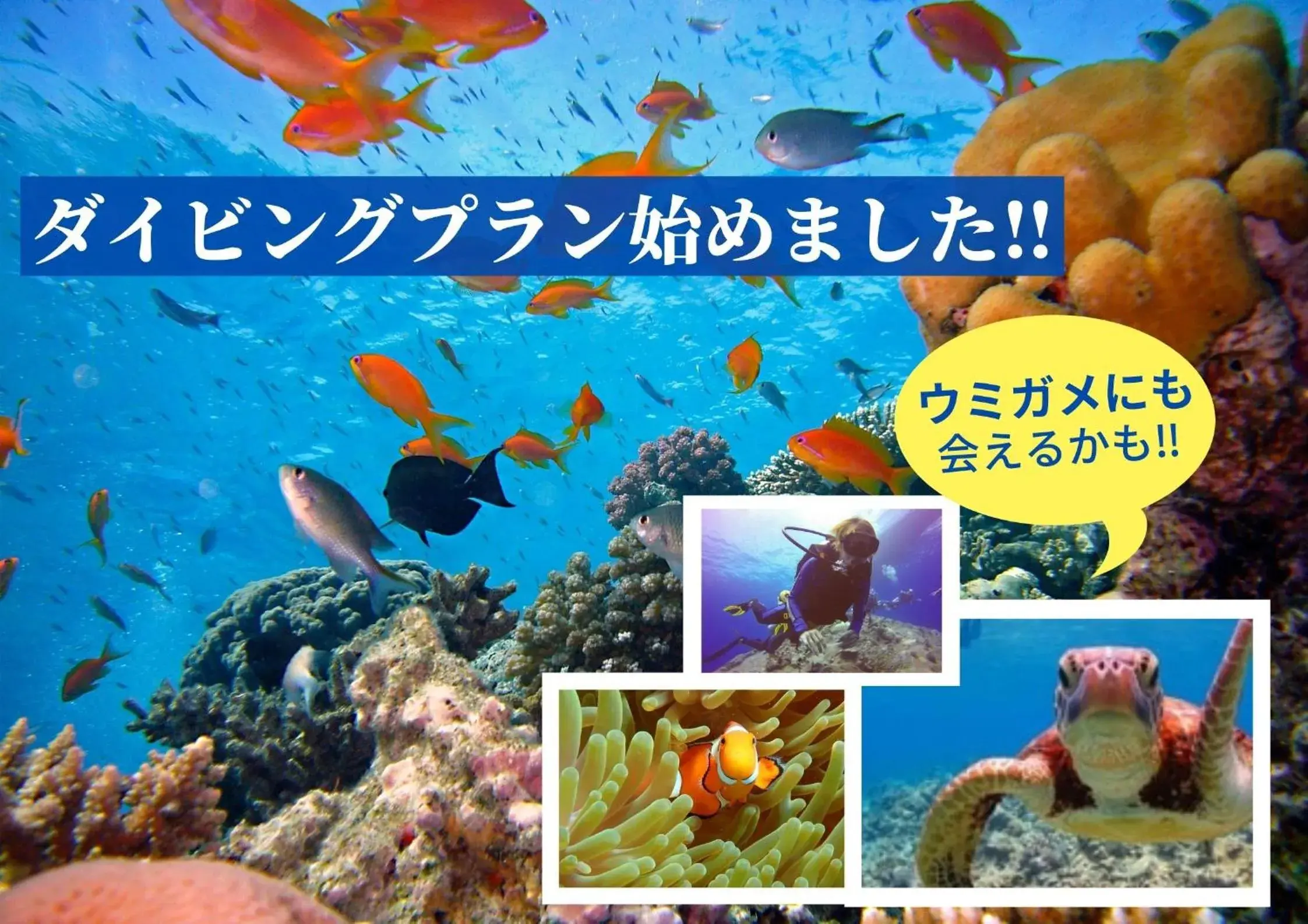 HOTEL StoRK HOTEL StoRK