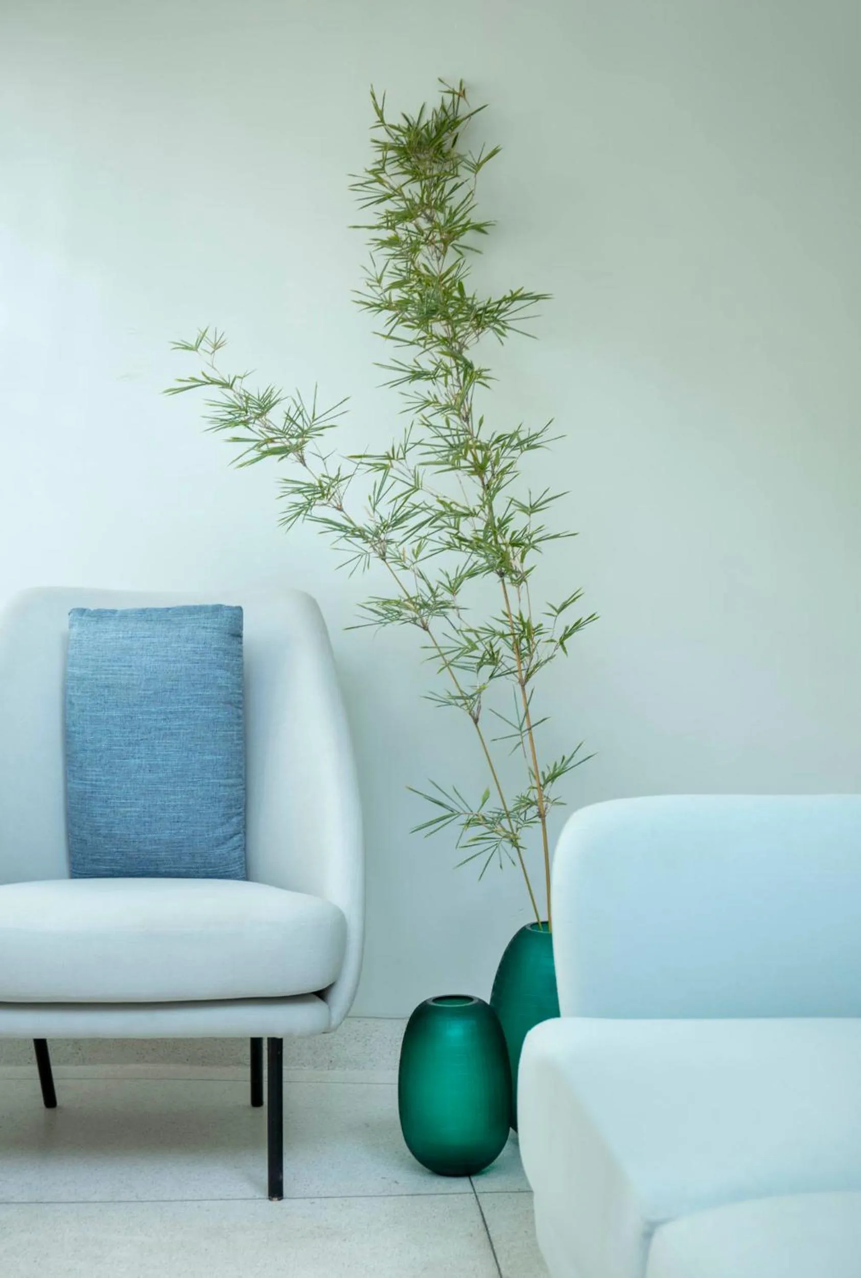 Spa and wellness centre/facilities in Taj Rishikesh Resort & Spa Uttarakhand