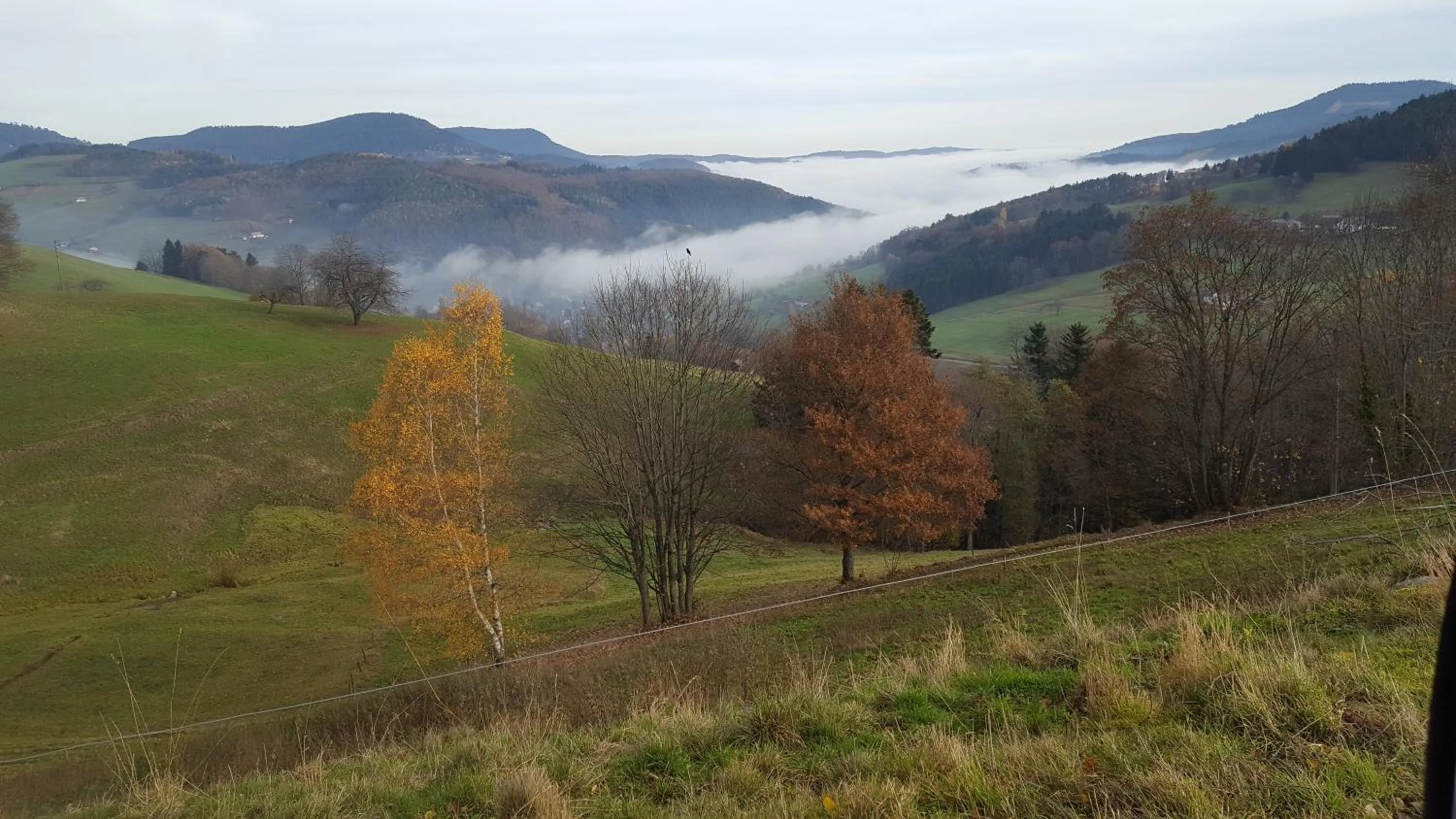 Mountain view in Le Bouton d'Or