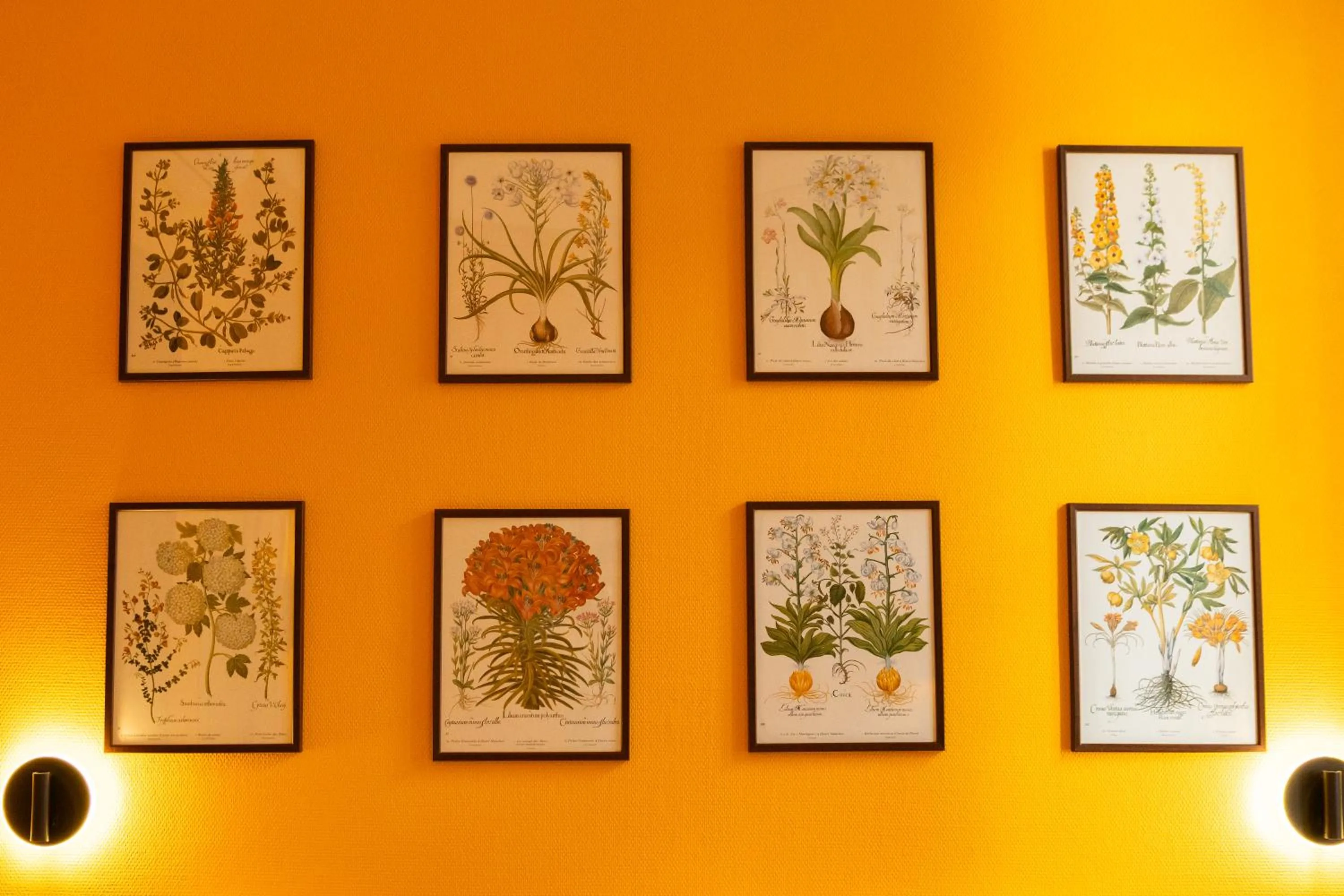 Decorative detail in Garlande Hôtel Avignon Centre