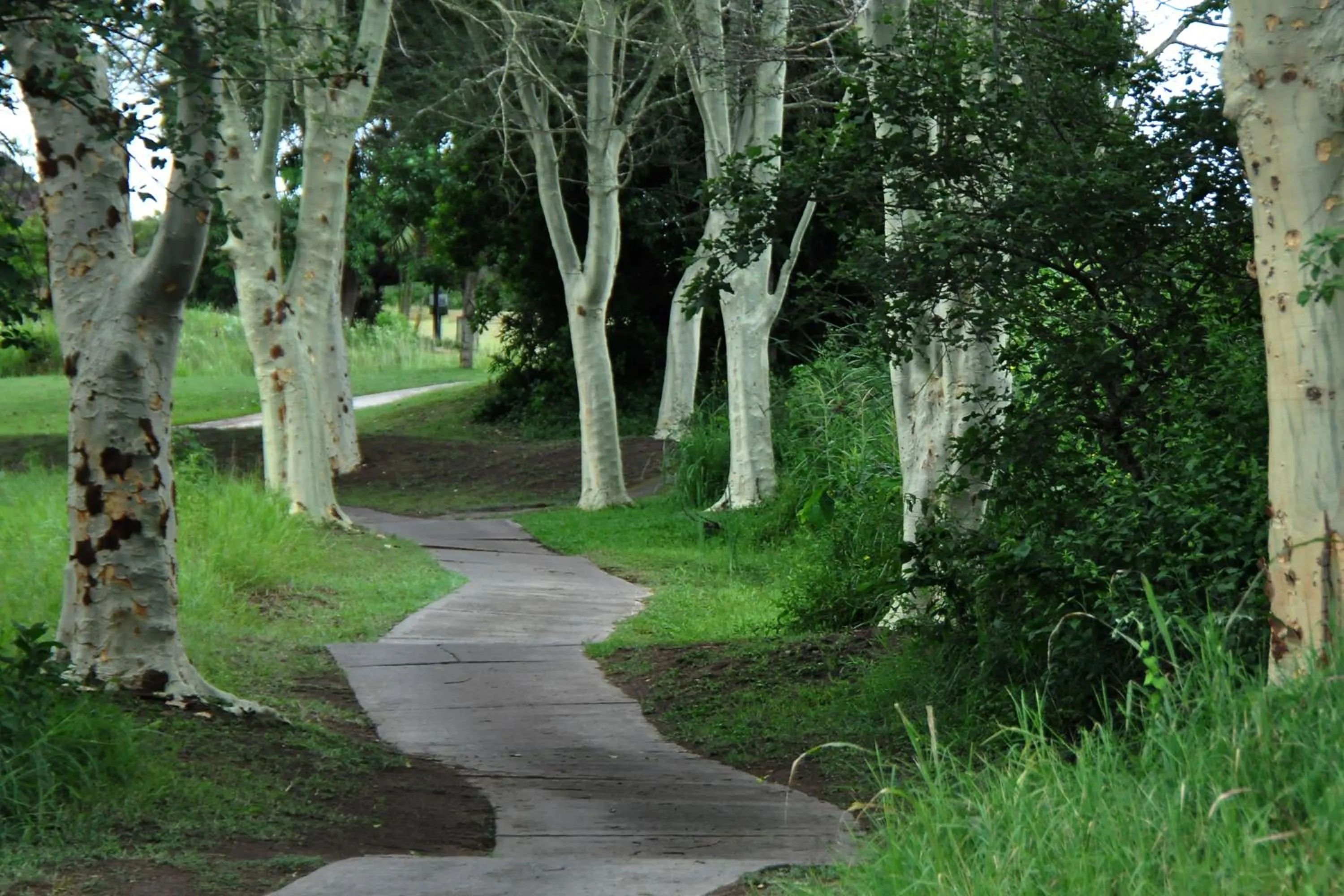 Natural landscape in Kruger Park Lodge Unit No. 611
