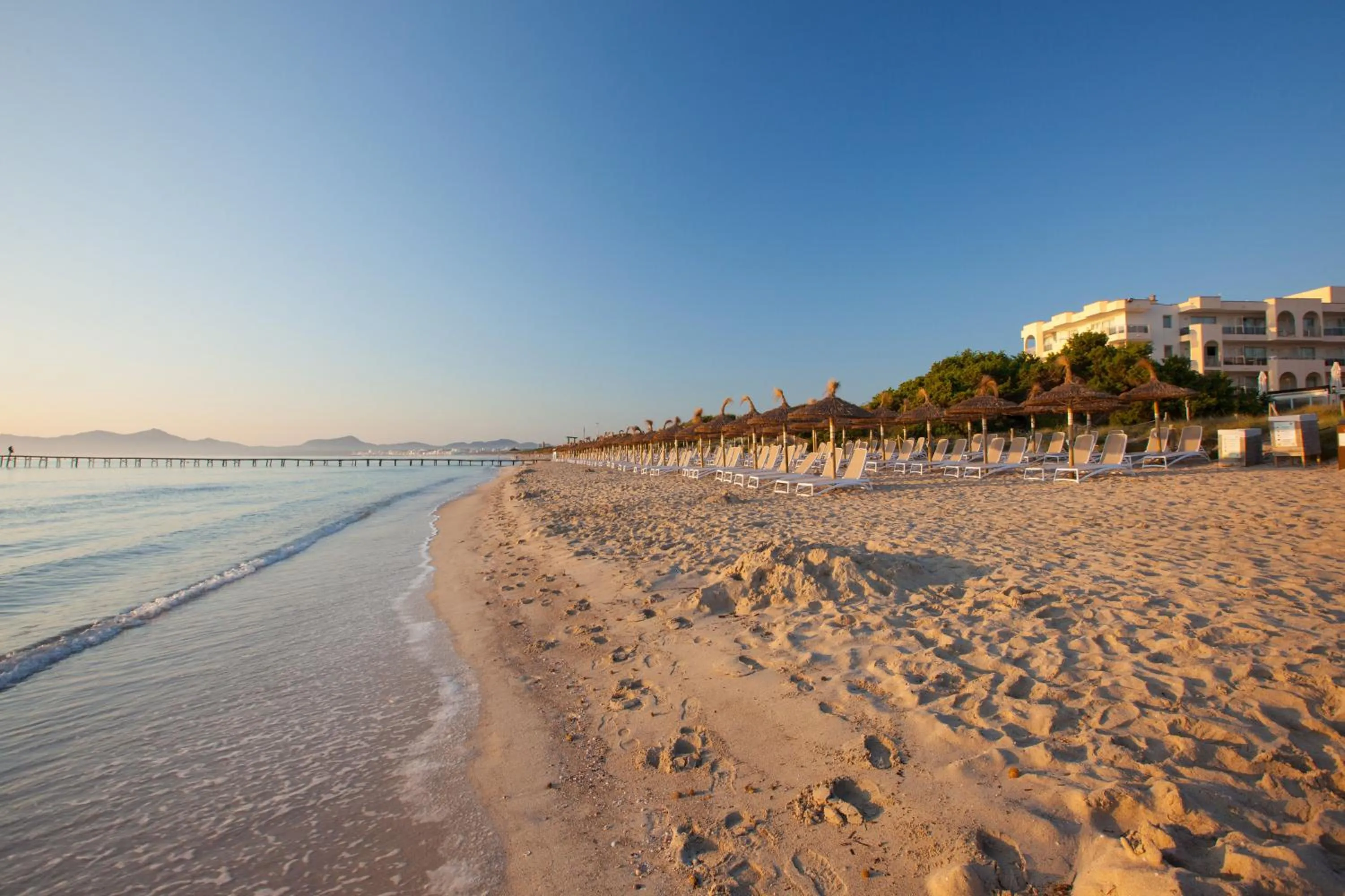 Beach in Grupotel Alcudia Pins
