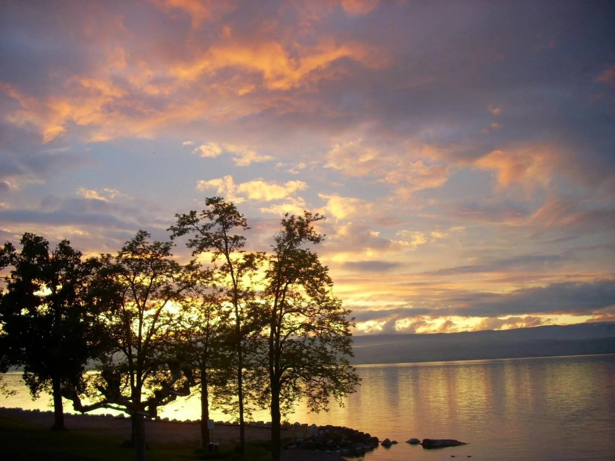Activities in Auberge d'Anthy