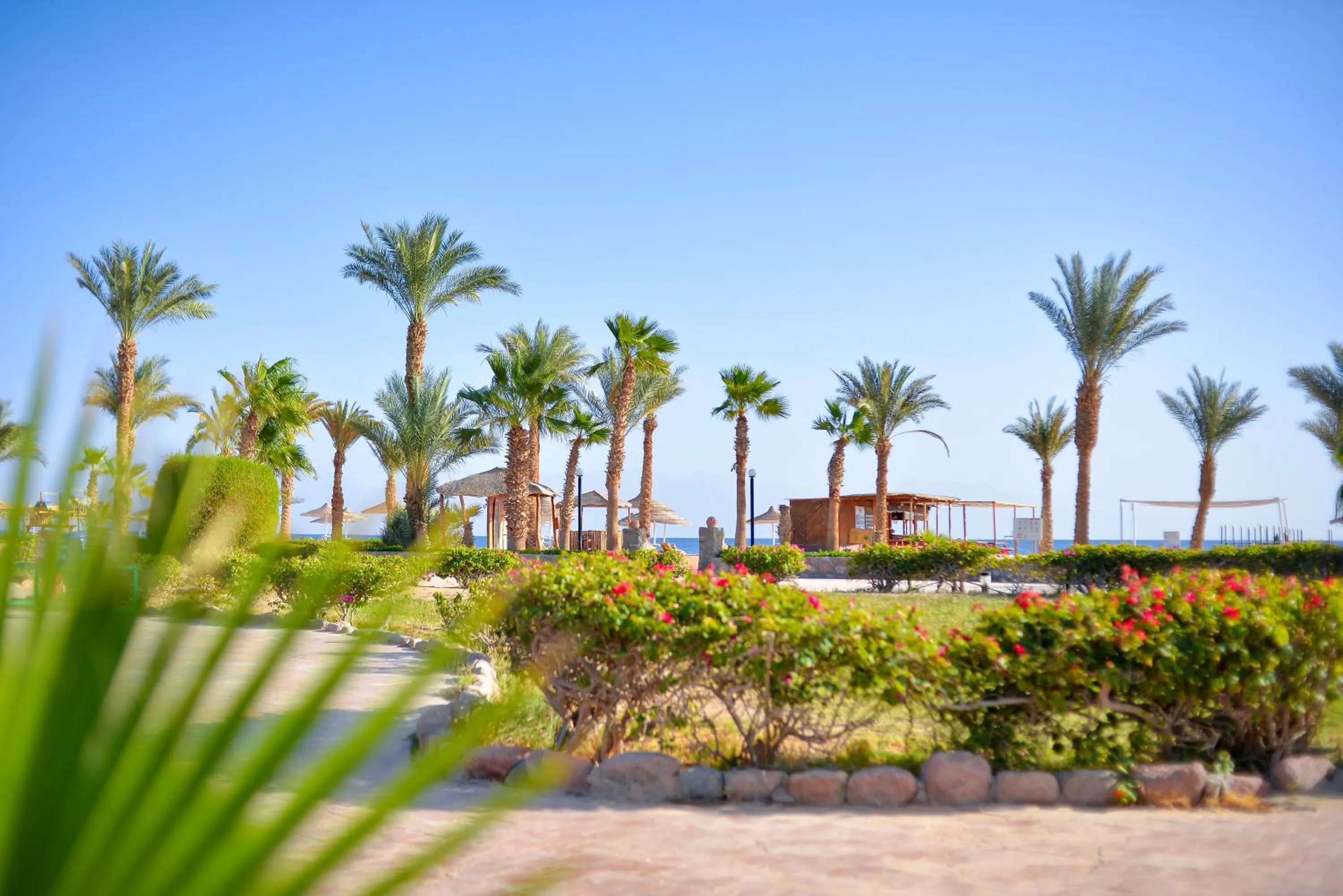 Garden in TIME Coral Nuweiba Resort