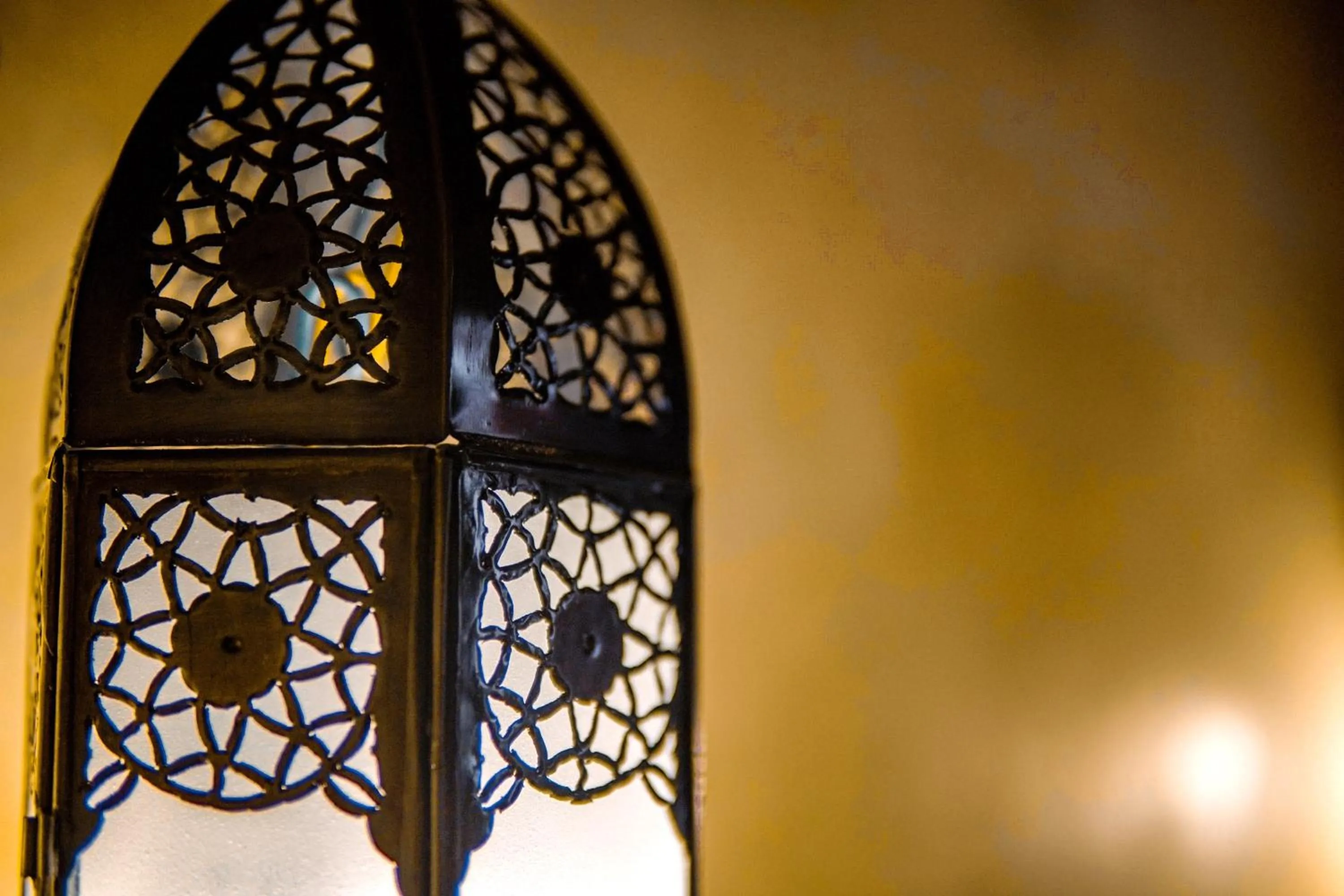 Other in Riad Zidania