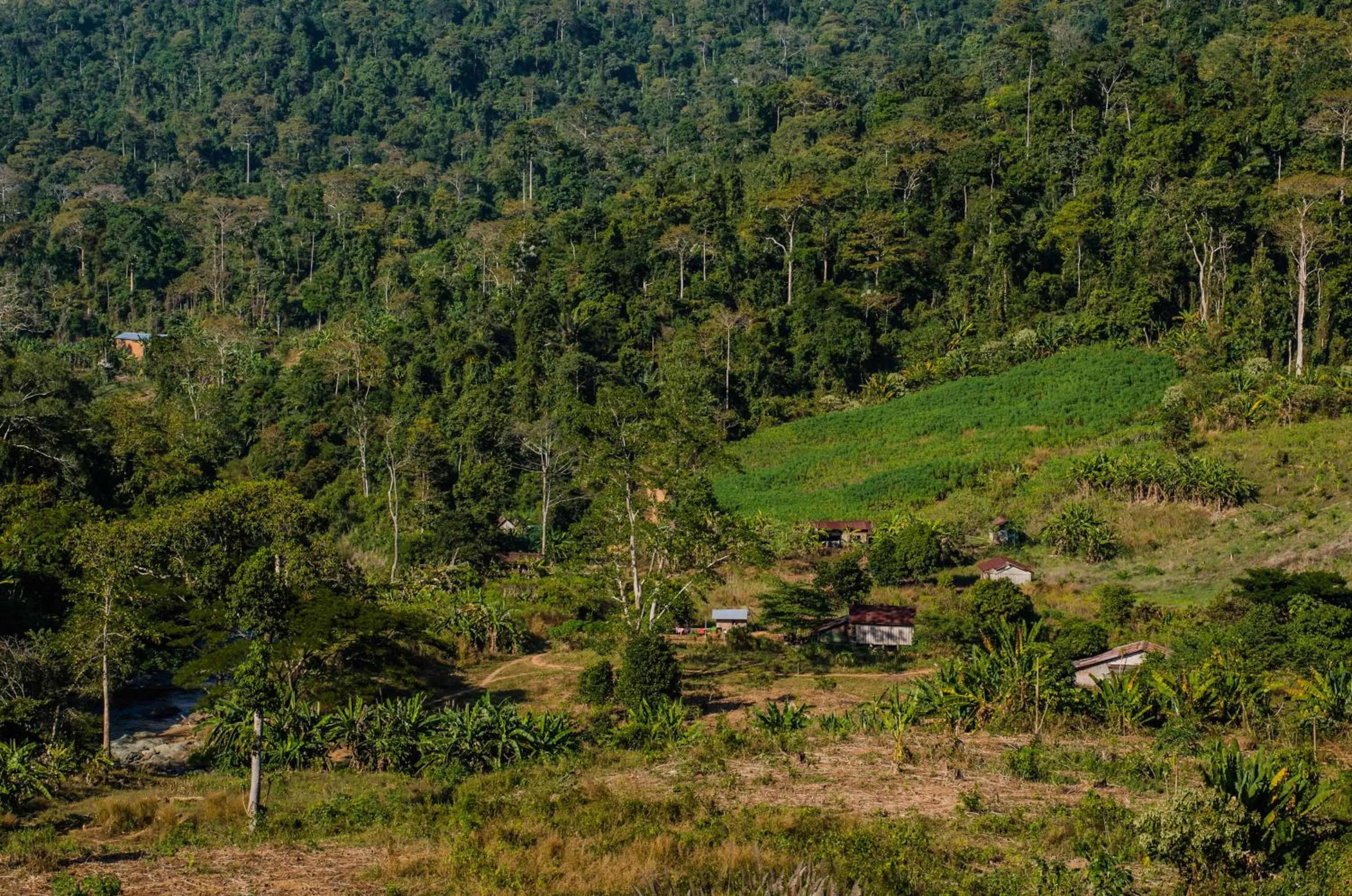 Natural landscape in Memoria Palace & Resort