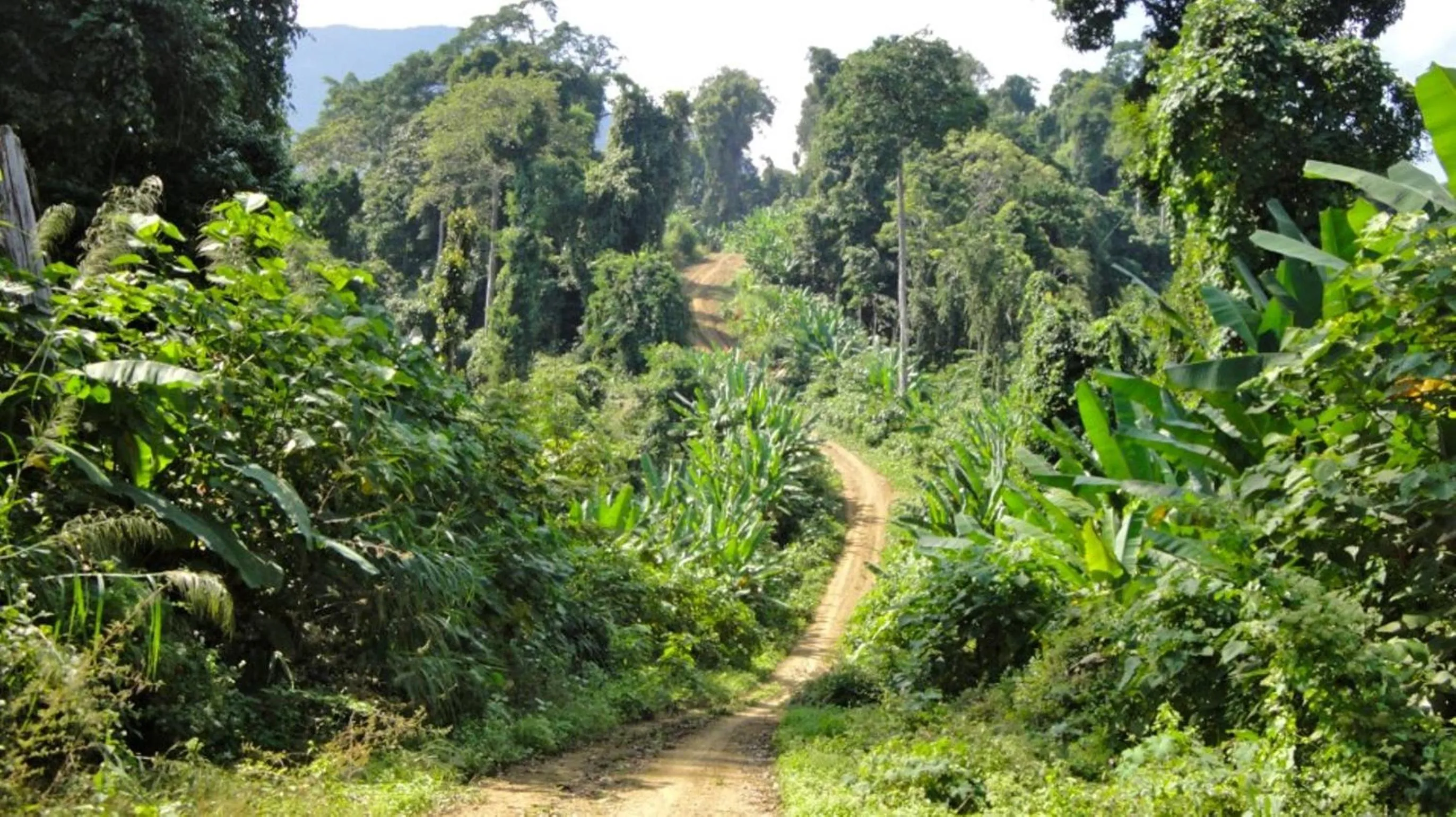 Neighbourhood in Memoria Palace & Resort