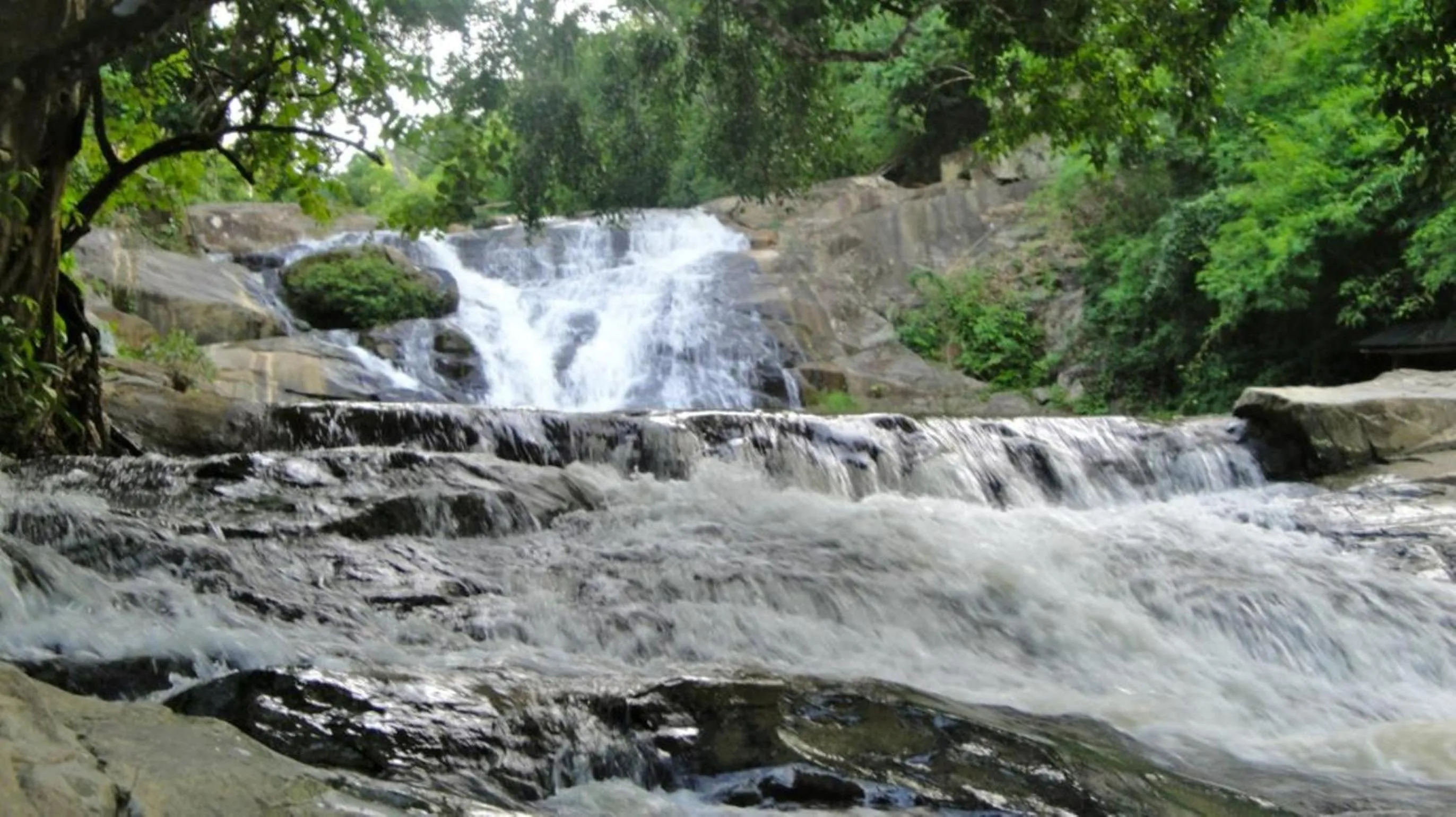 Natural landscape in Memoria Palace & Resort