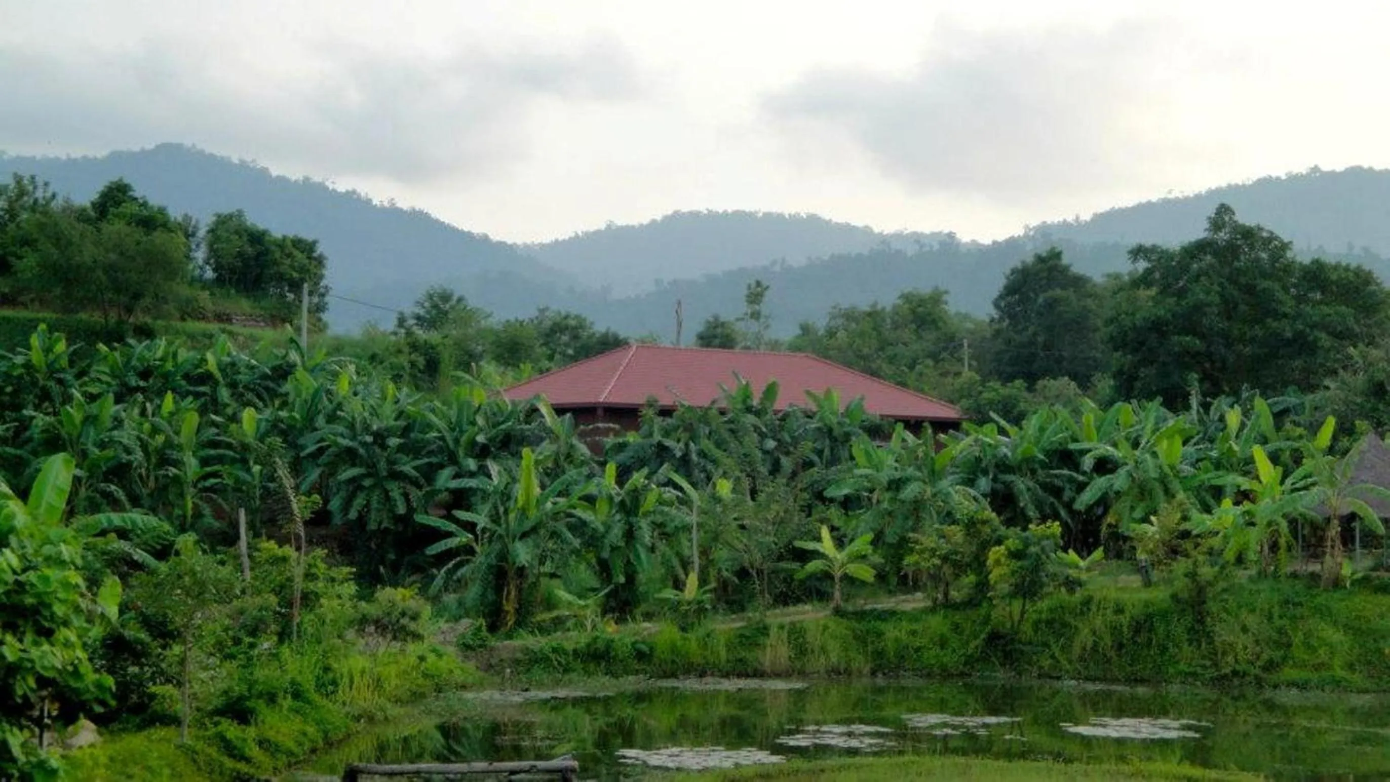 Garden in Memoria Palace & Resort
