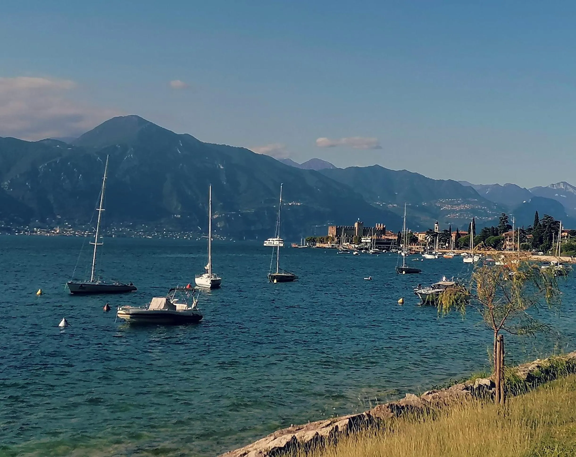 Natural landscape in Suite Laura - Torri del Benaco