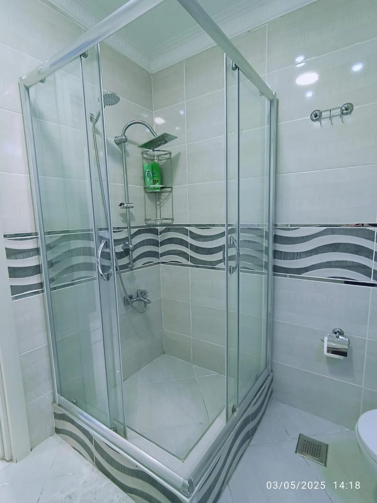 Shower in Little Palace Blue Apartment