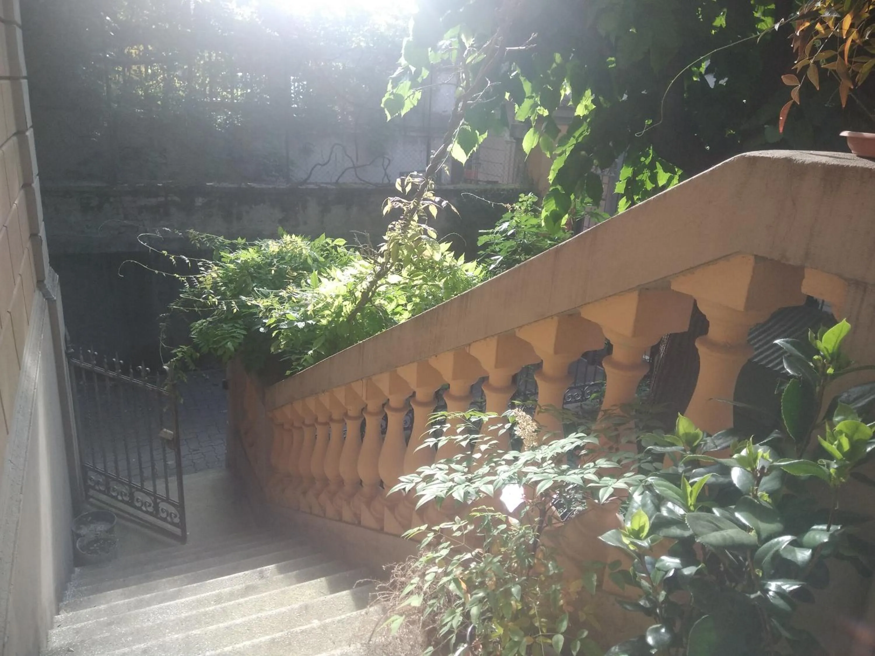 View (from property/room) in Tilia