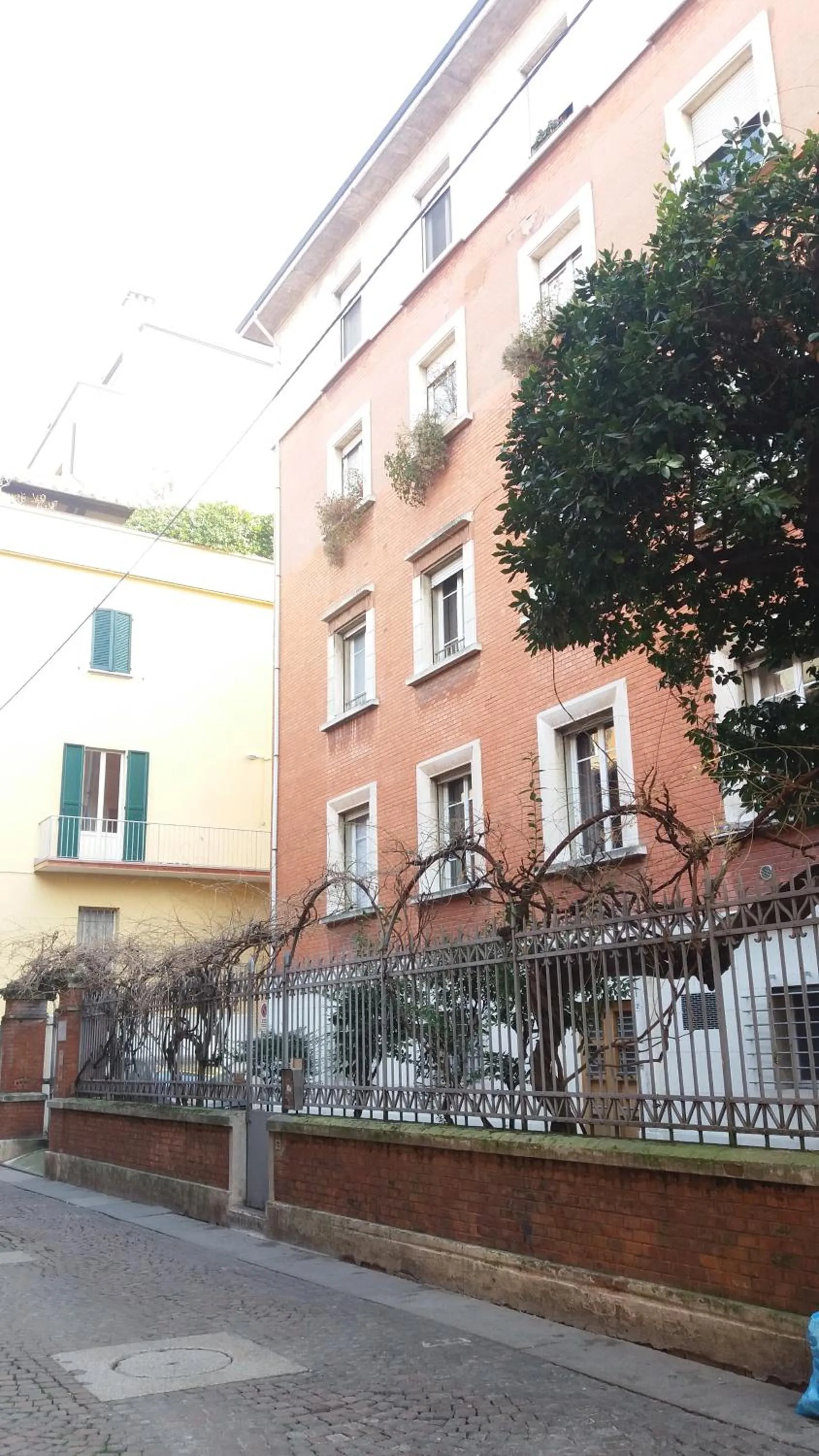 Neighbourhood in Tilia