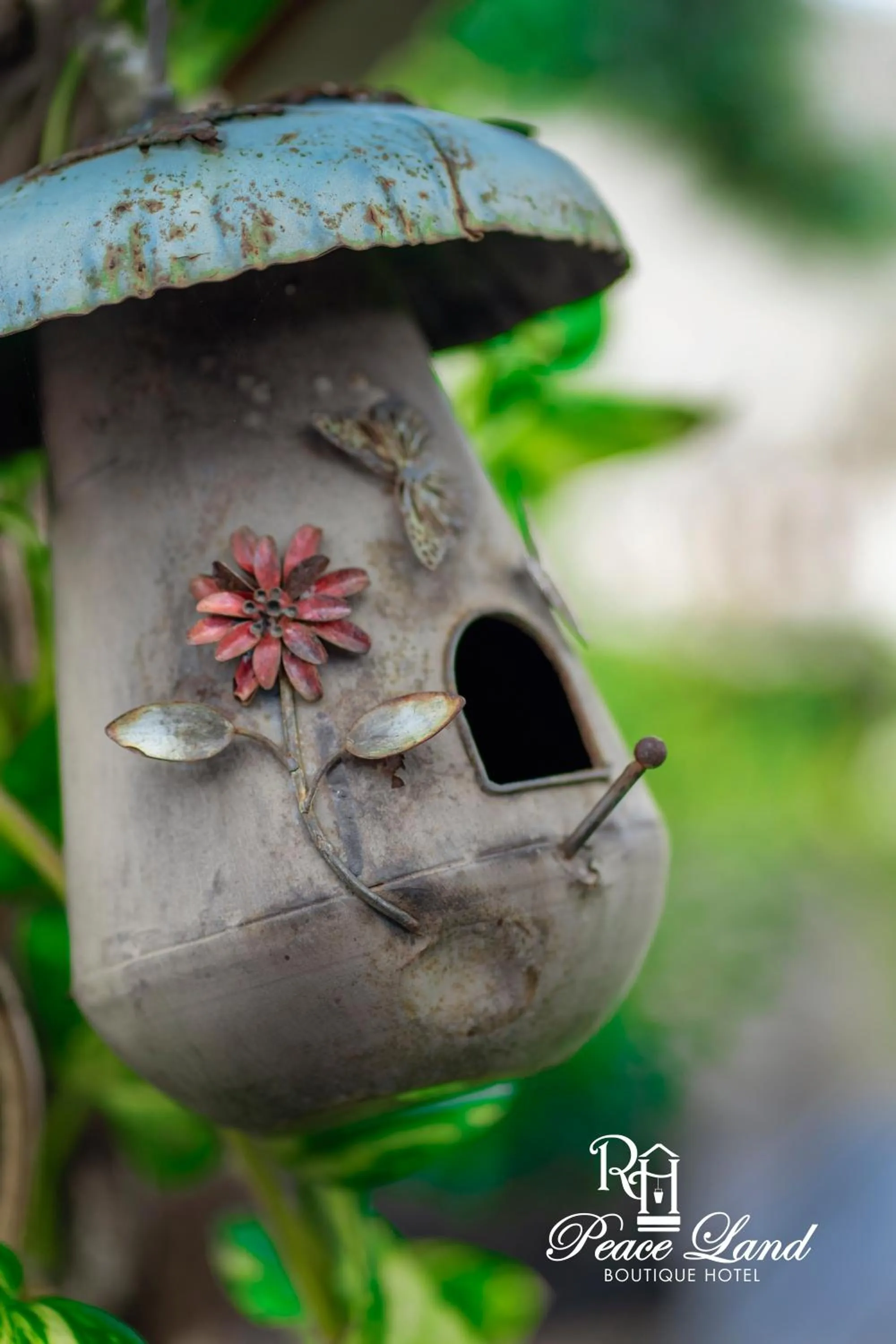 Garden in Hotel RH Boutique Aruba
