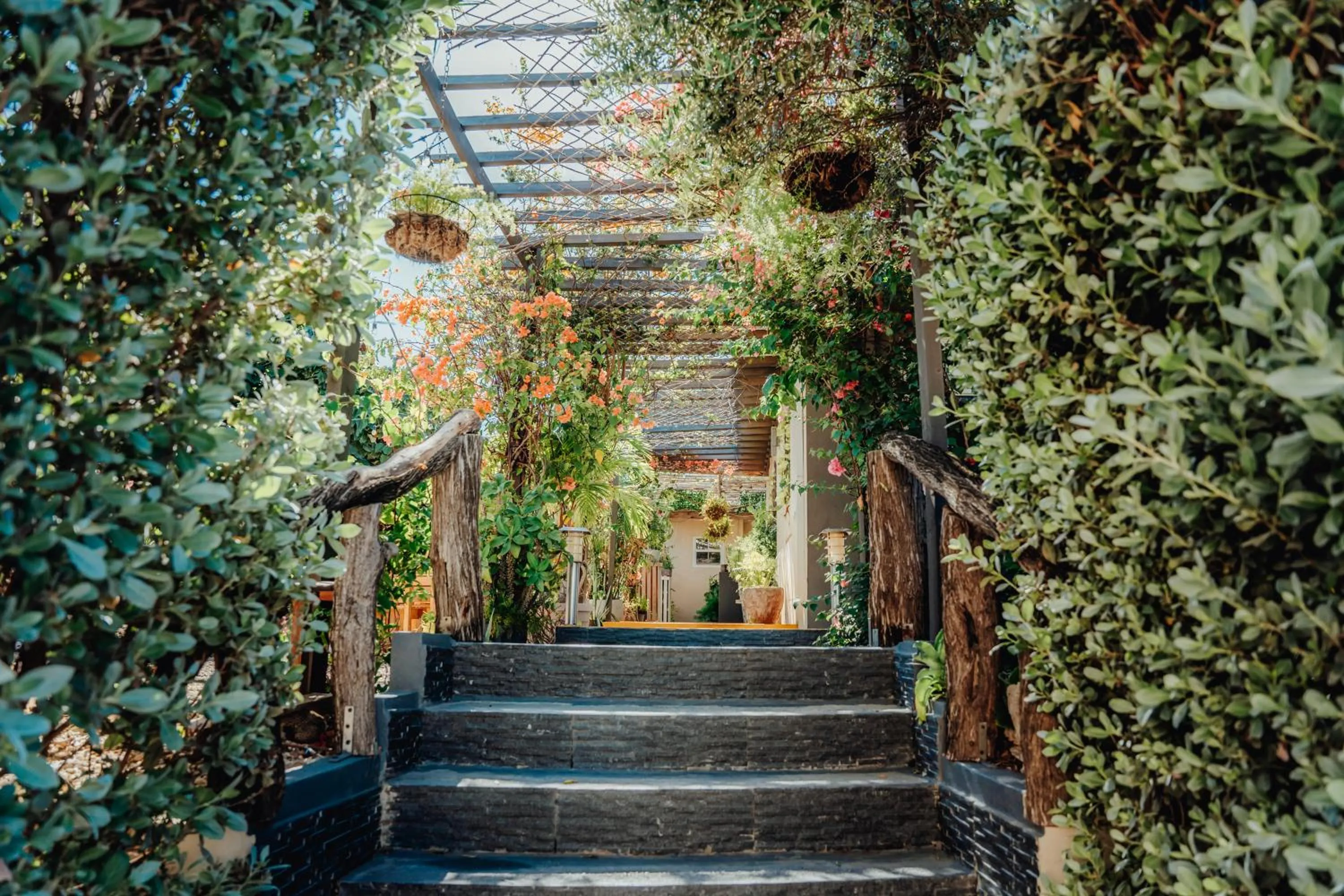 Garden in Hotel RH Boutique Aruba