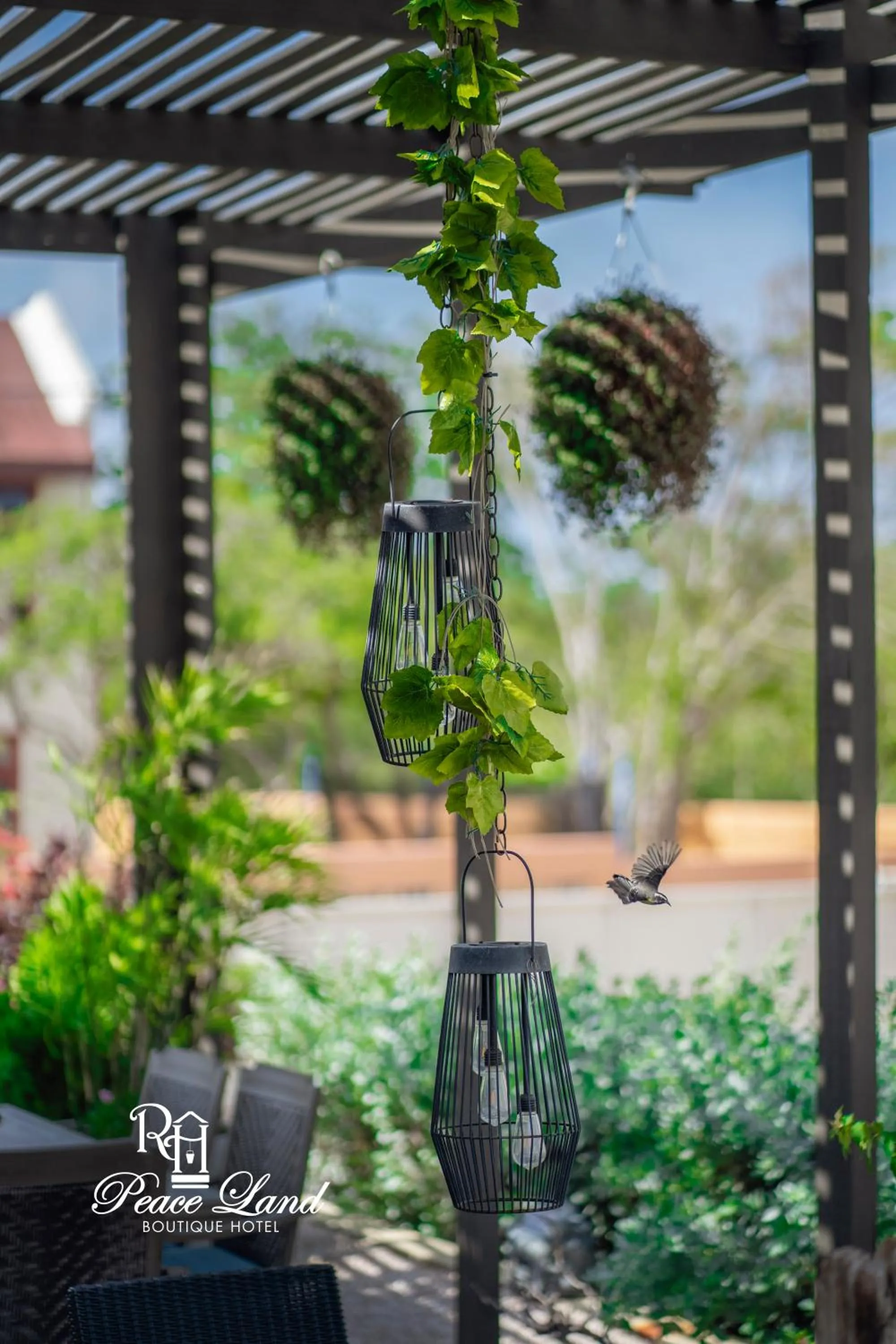 Garden in Hotel RH Boutique Aruba