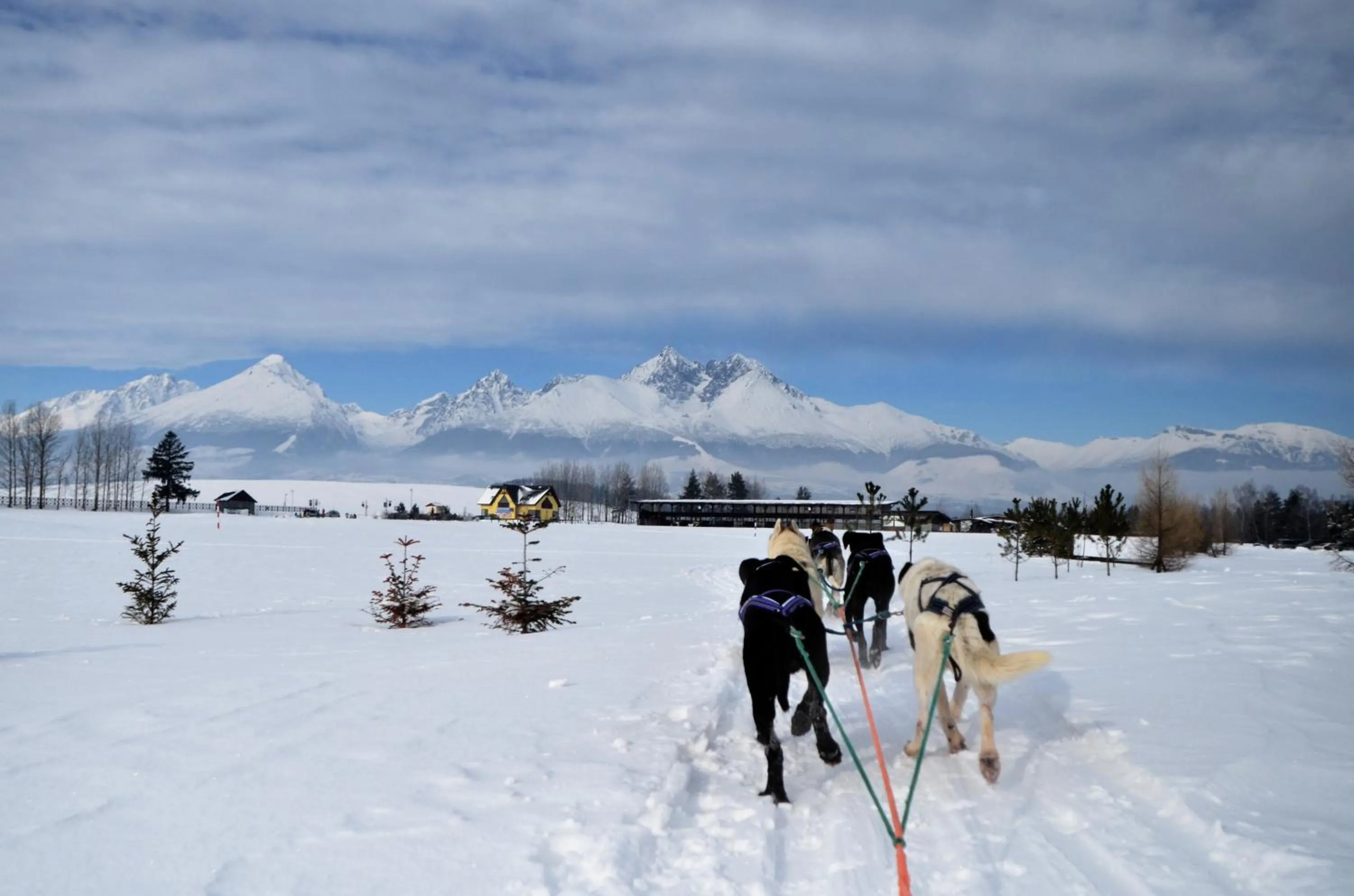 Winter in Apartmany Sileas