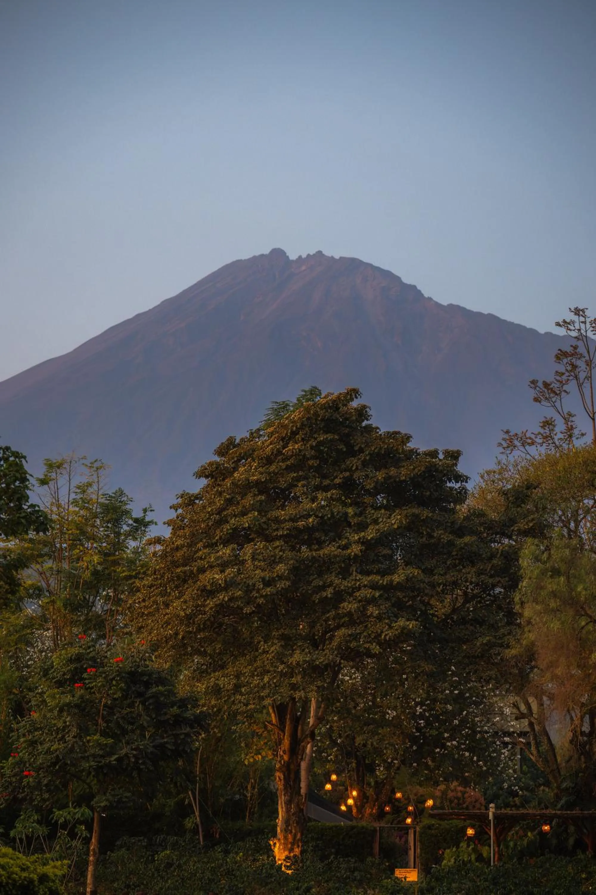 Mountain view in Gran Melia Arusha