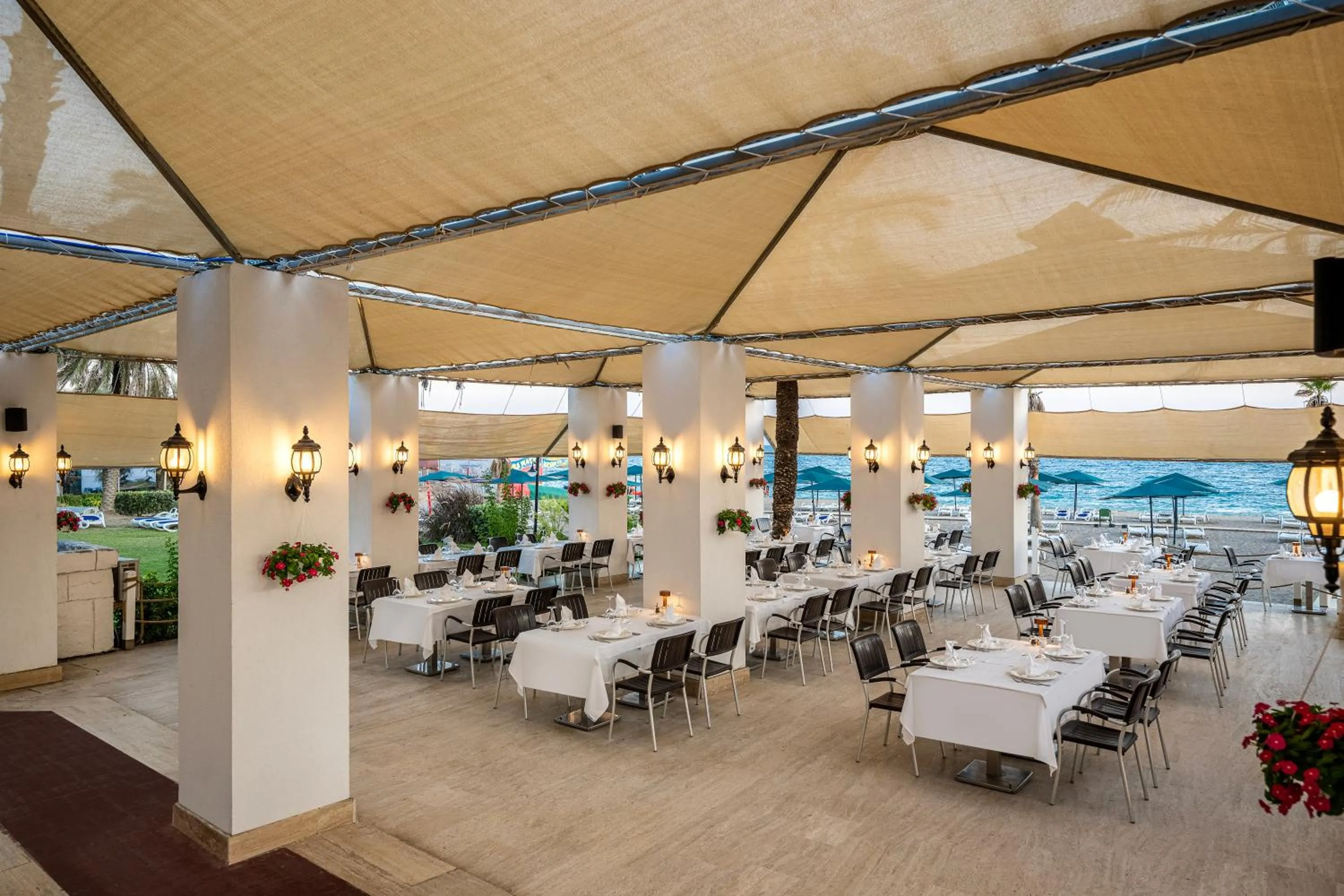 Restaurant/places to eat in Adora Hotel & Resort