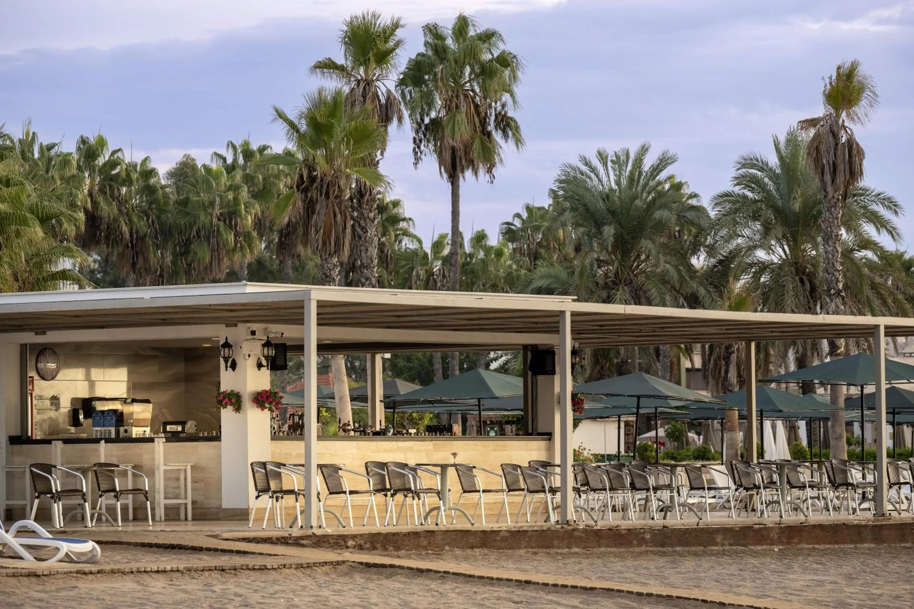 Beach in Adora Hotel & Resort