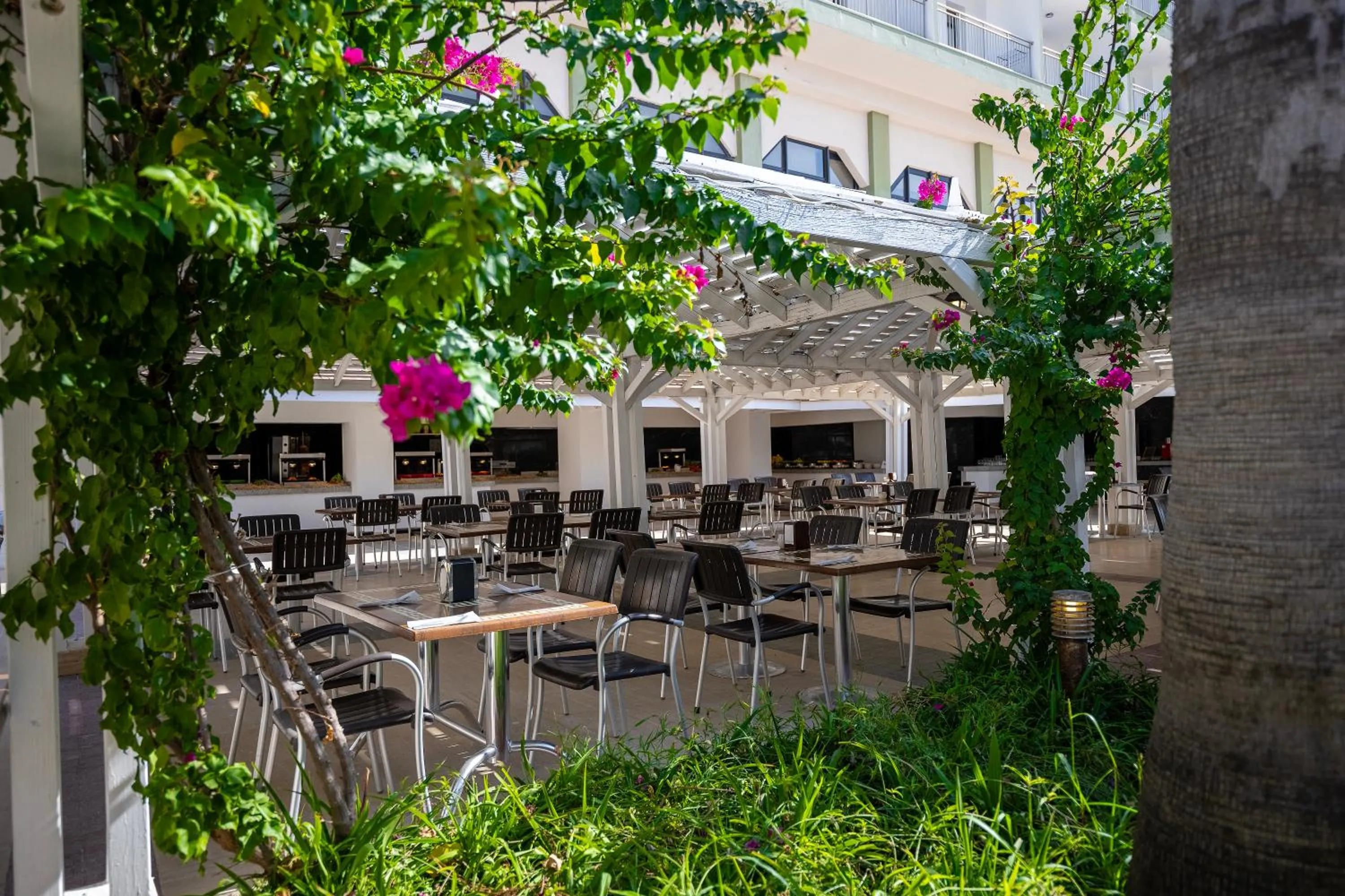 Restaurant/places to eat in Adora Hotel & Resort