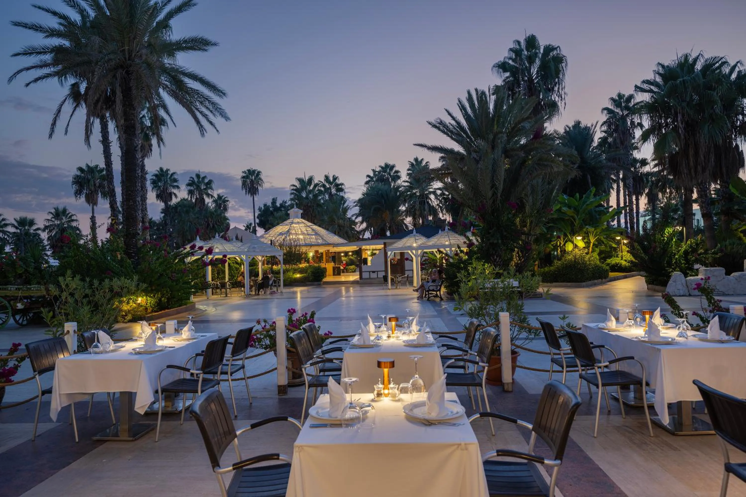 Restaurant/places to eat in Adora Hotel & Resort
