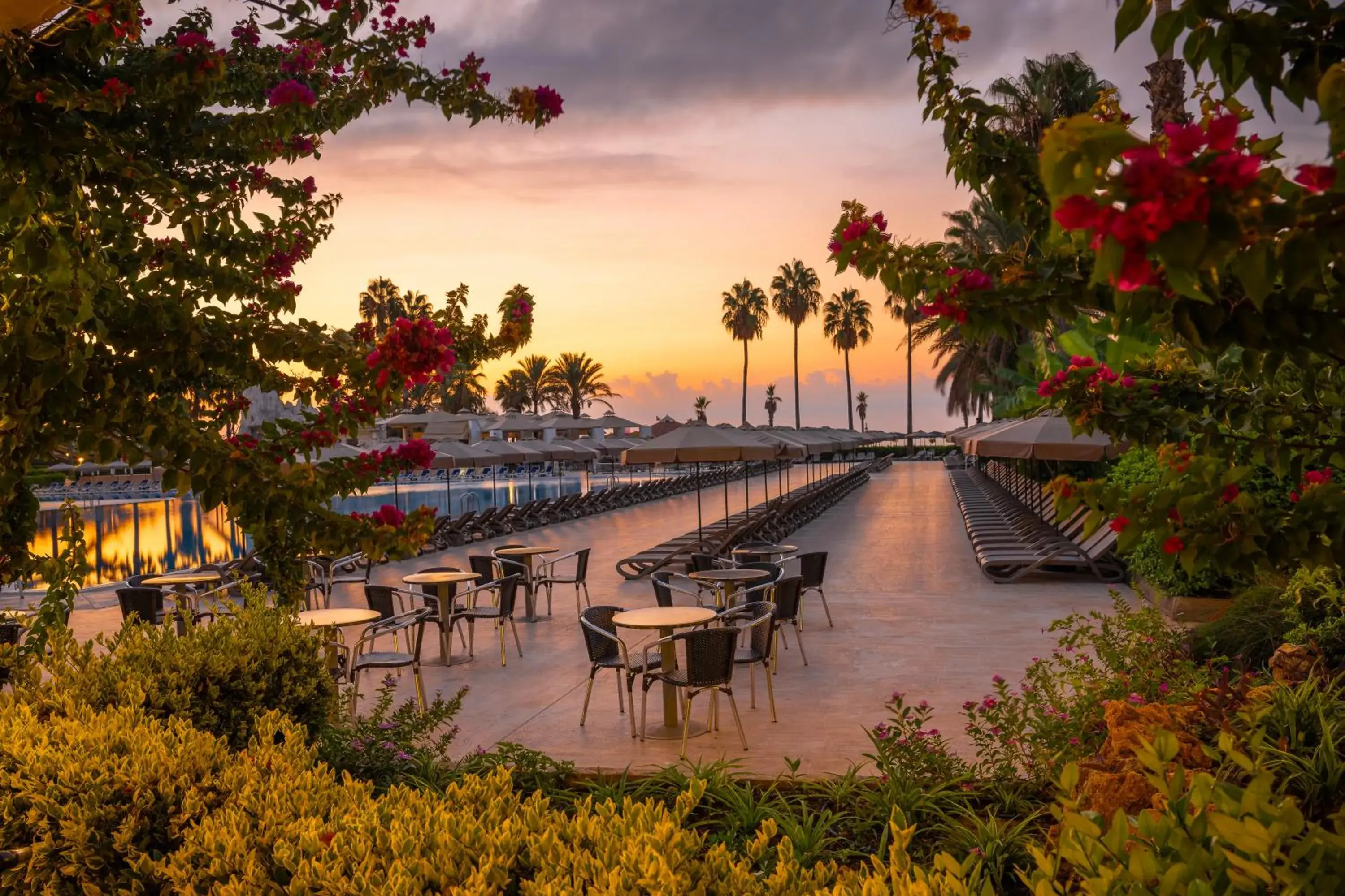 Lounge or bar in Adora Hotel & Resort Lounge or bar in Adora Hotel & Resort