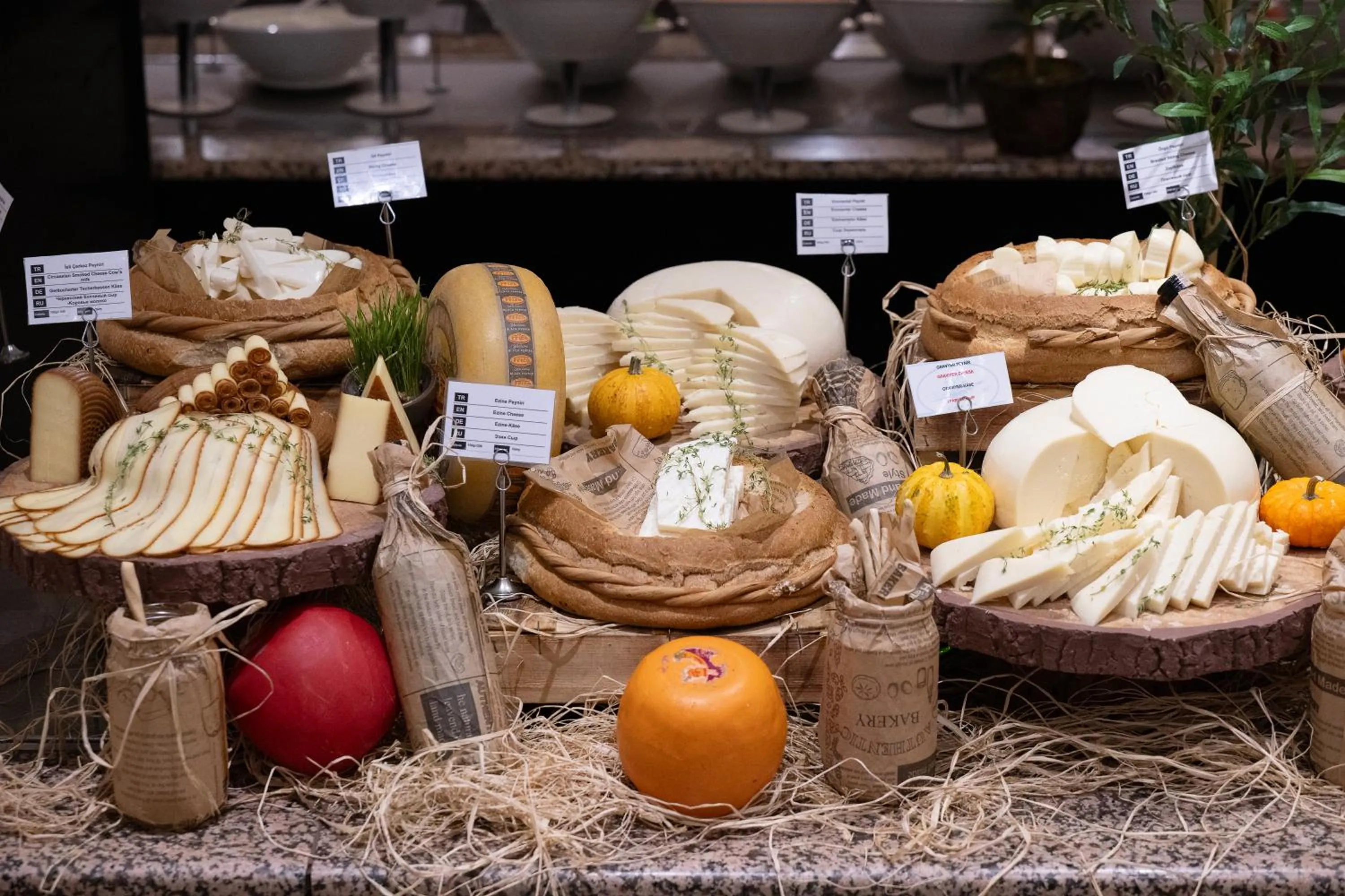 Food and drinks in Adora Hotel & Resort