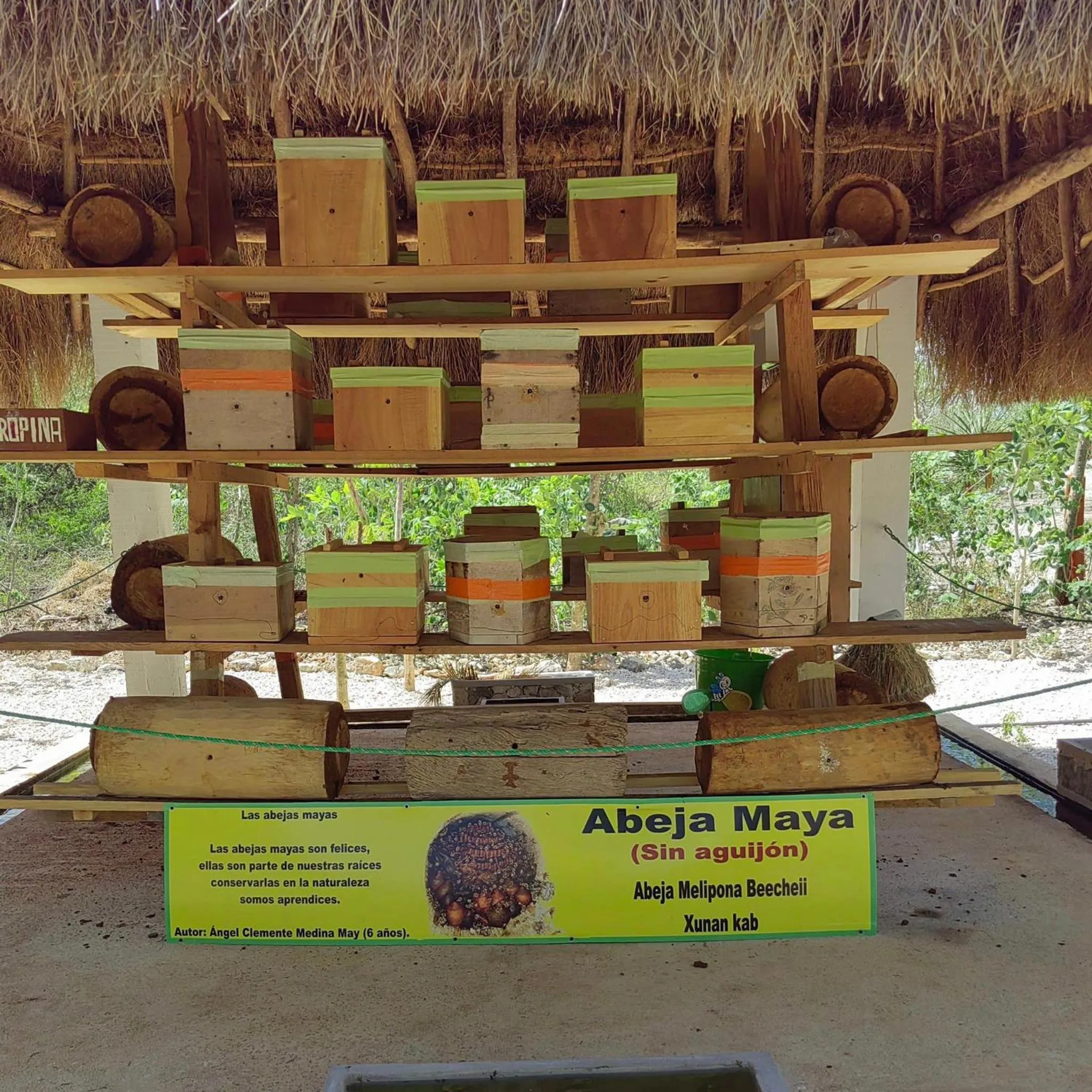 Cabañas Santa Cruz Homún