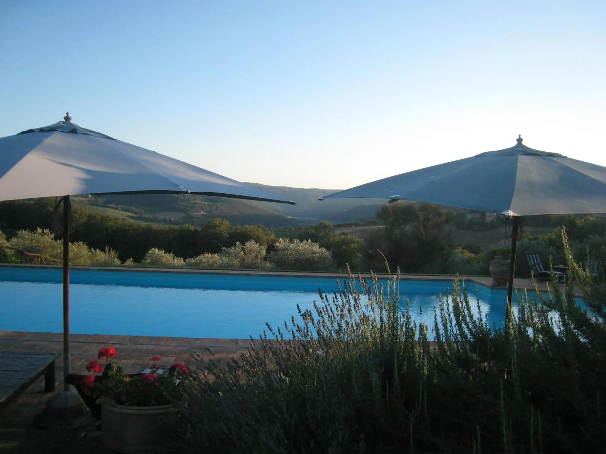 Swimming pool in Tenuta Di Canonica