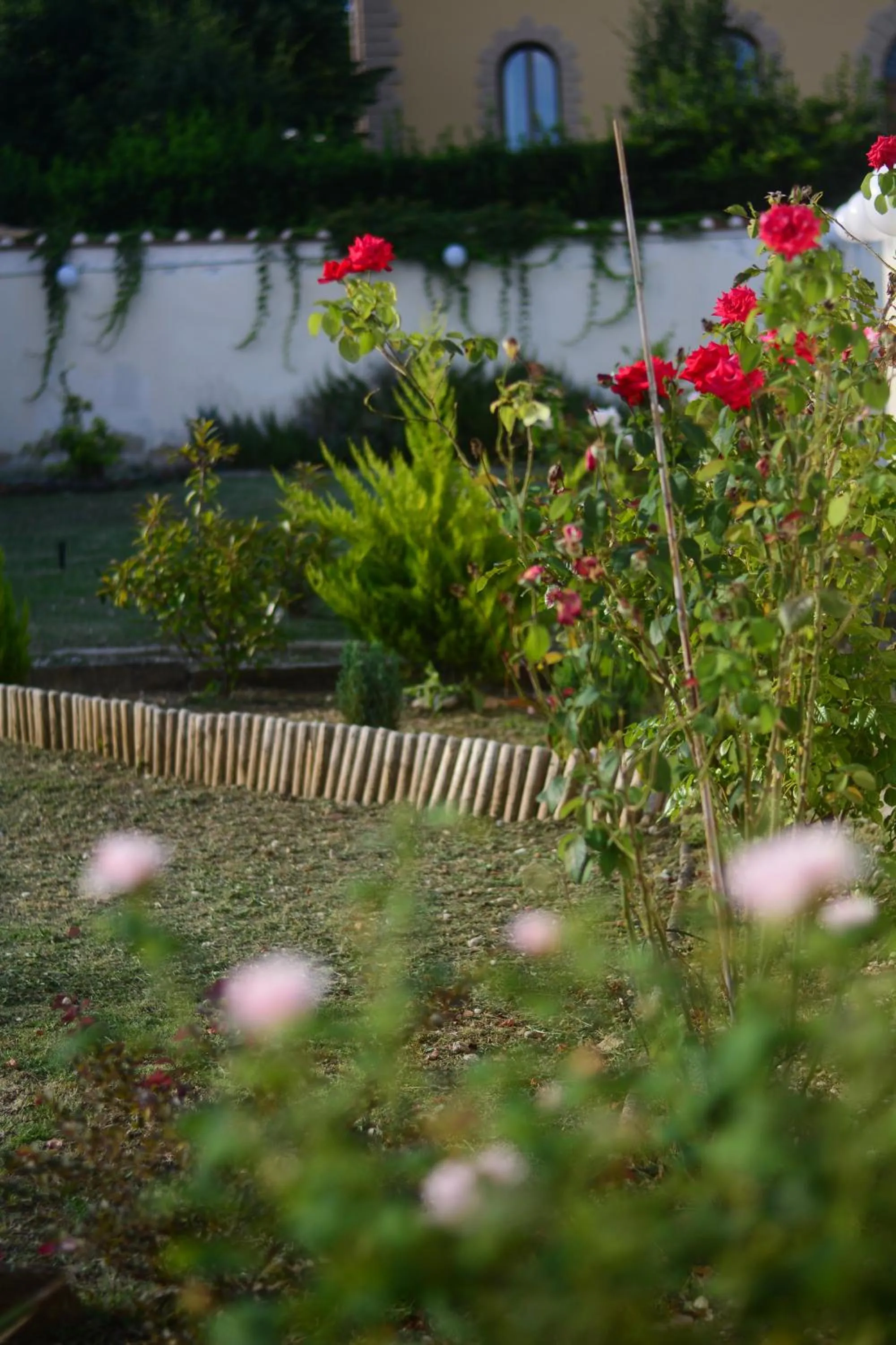 Garden in Villa Gelsomino Garden