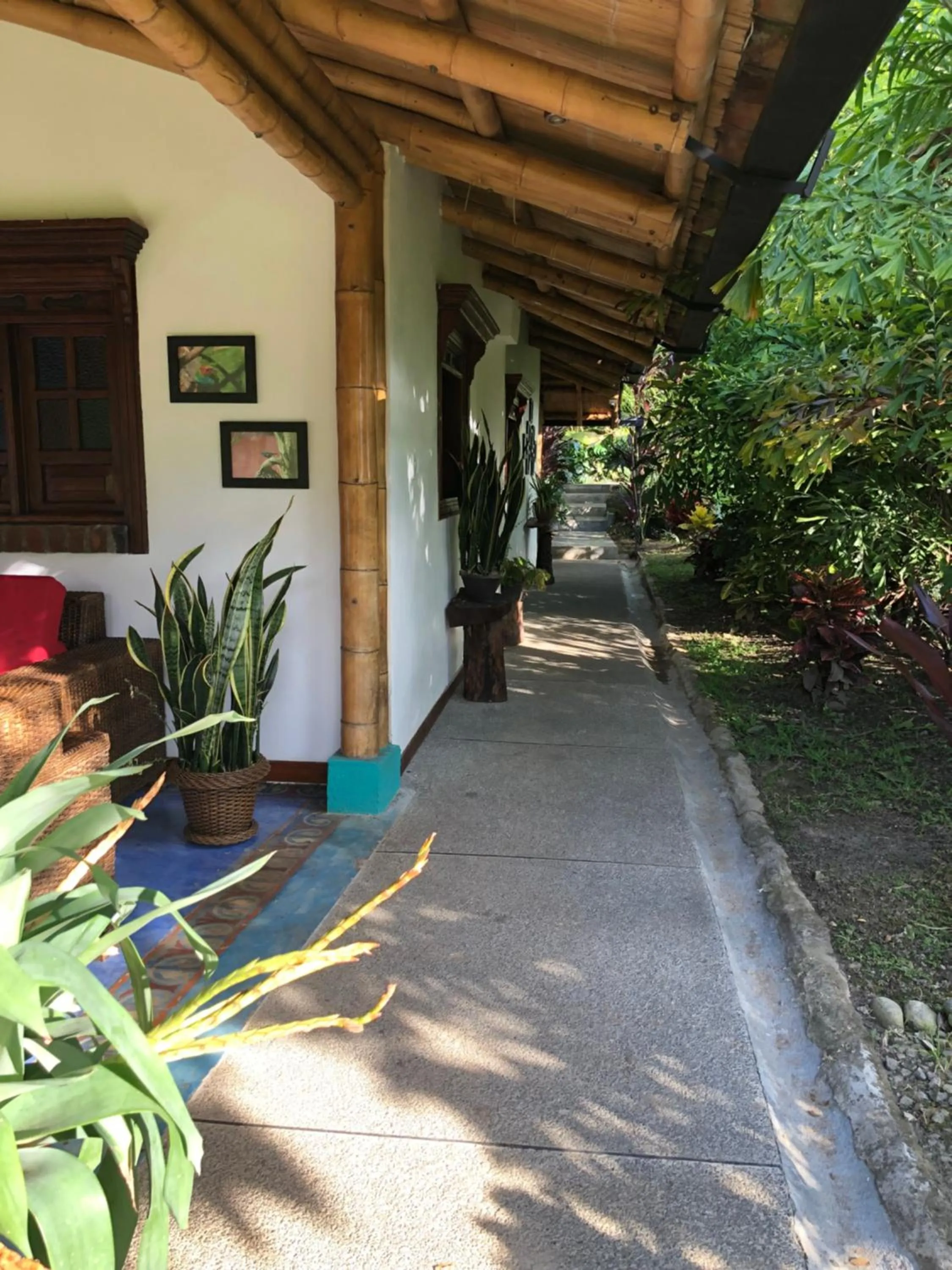 Spring in Finca Hotel Brasilia