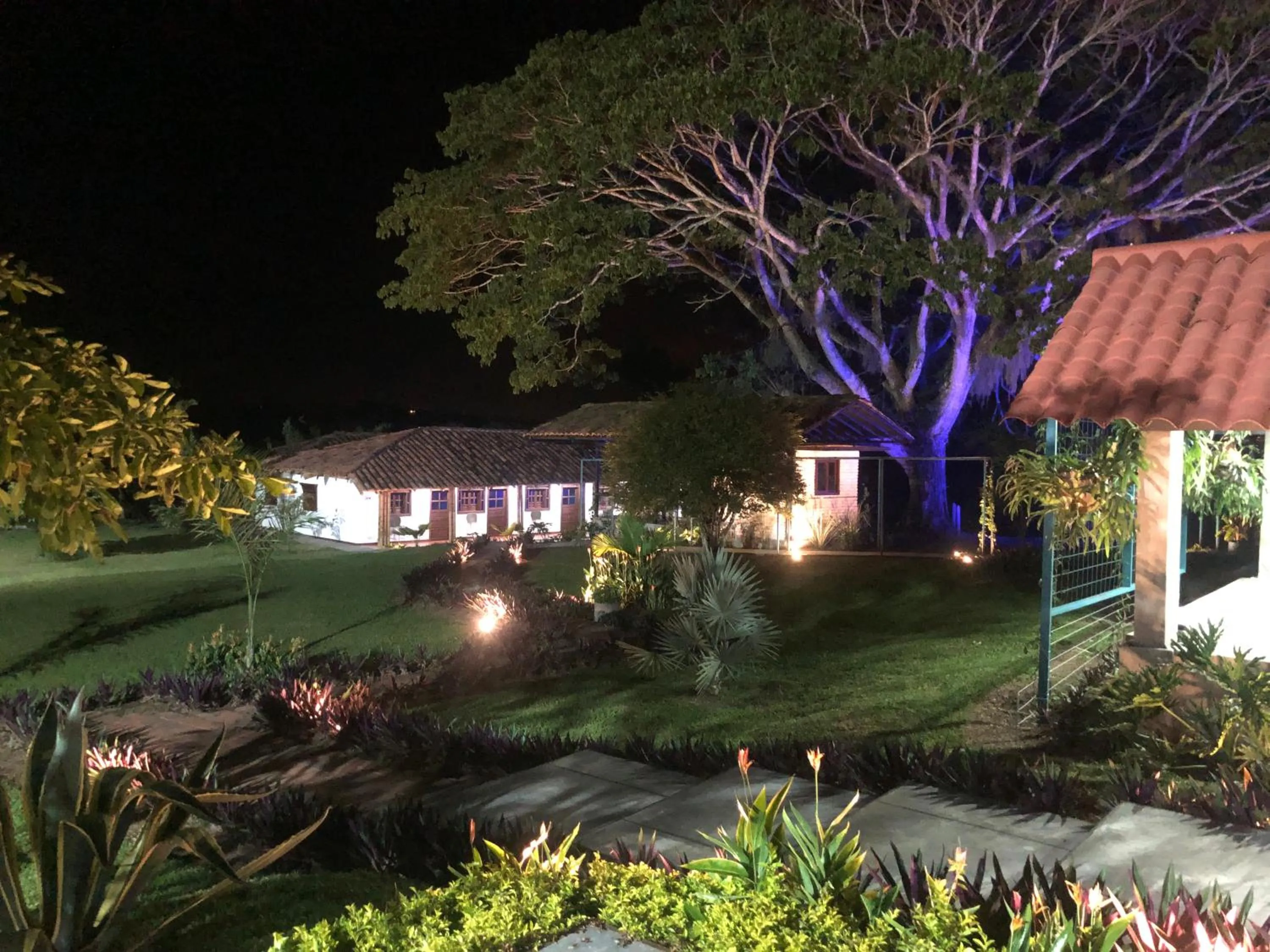 Garden in Finca Hotel Brasilia