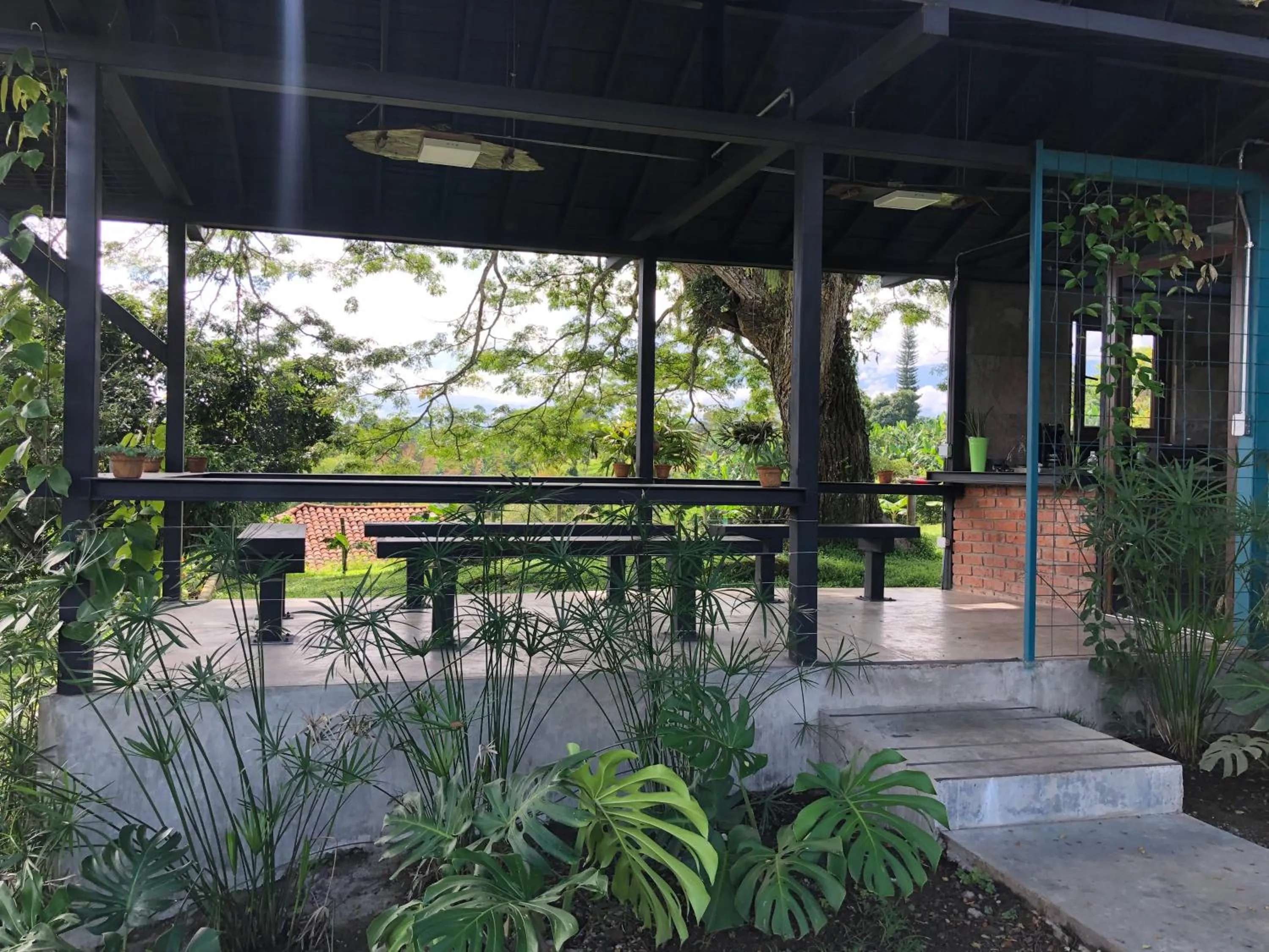 Restaurant/places to eat in Finca Hotel Brasilia