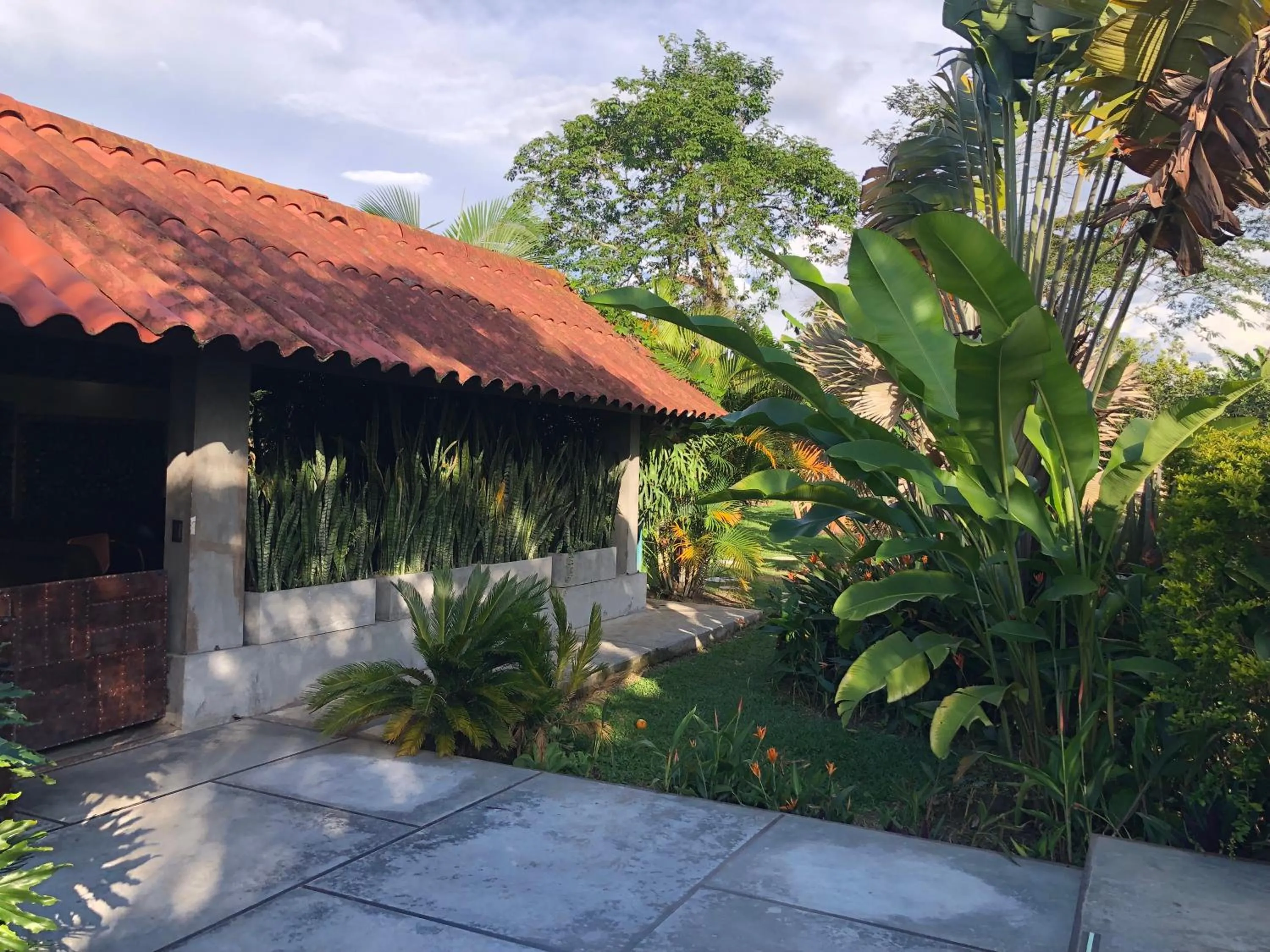 Spring in Finca Hotel Brasilia