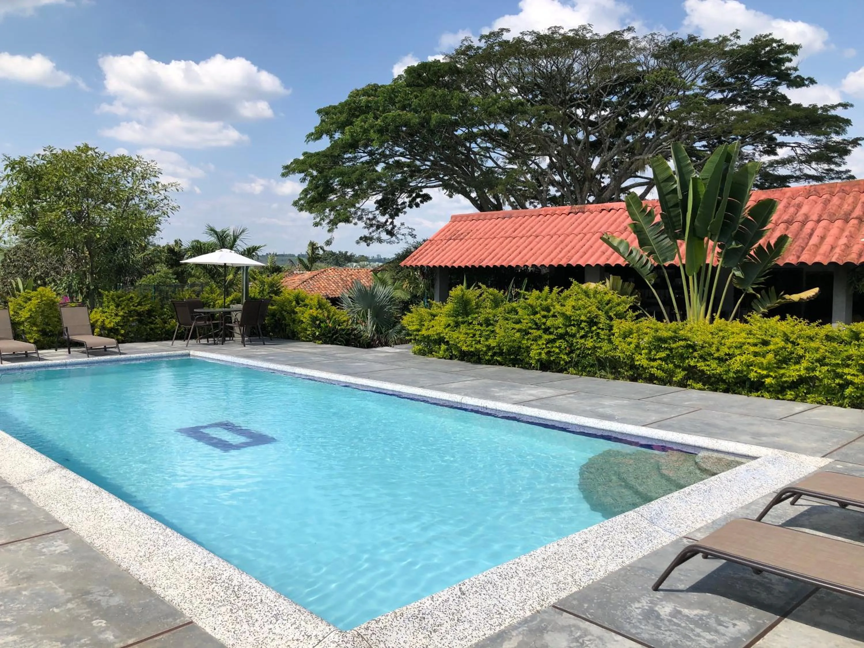 Swimming pool in Finca Hotel Brasilia