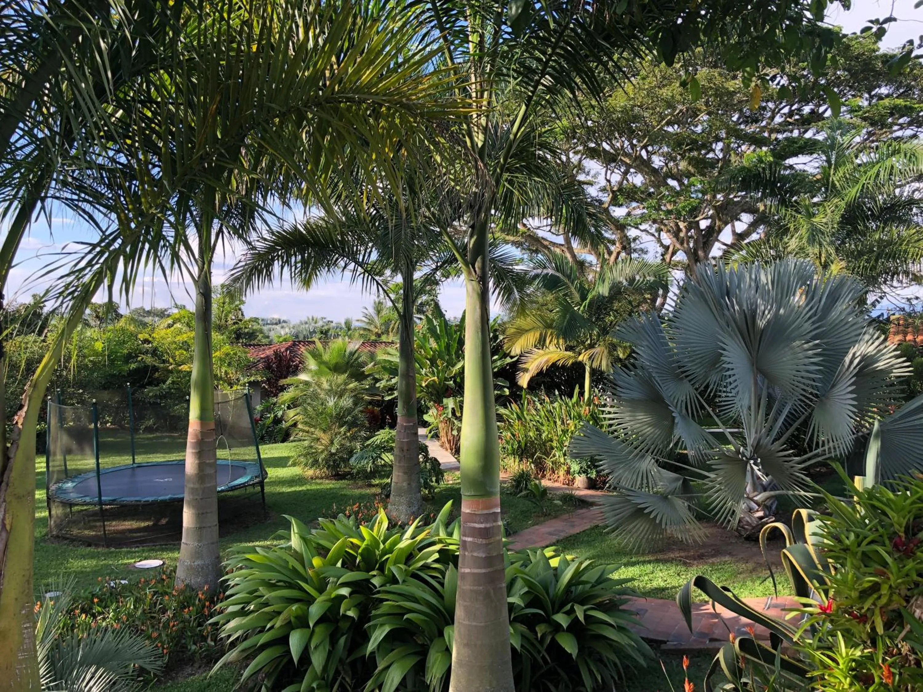 Spring in Finca Hotel Brasilia