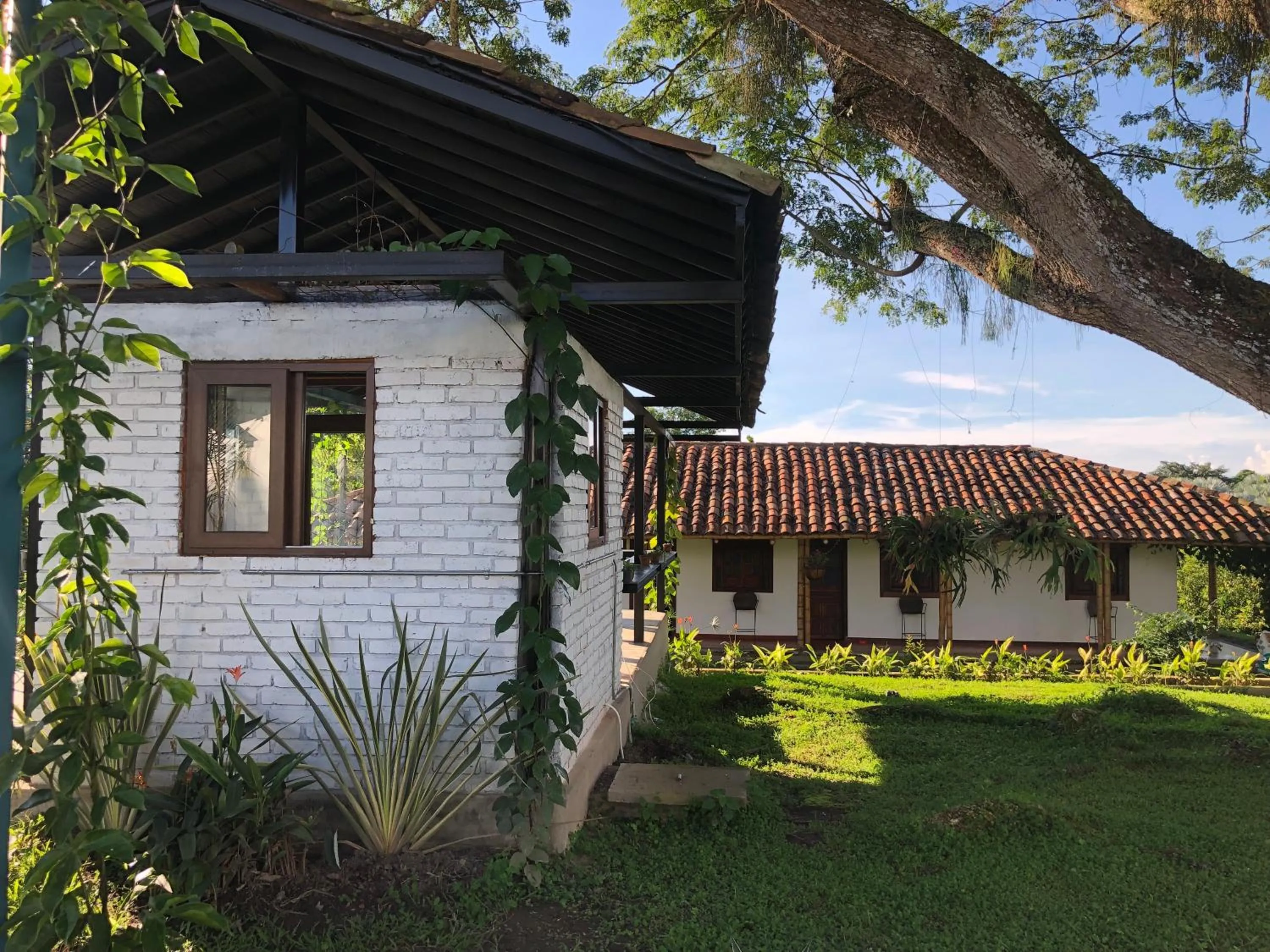 Garden in Finca Hotel Brasilia